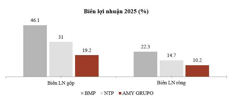 AMY GRUPO: Doanh nghiệp trẻ vượt quy mô hai “tượng đài” nhựa, ROE tiệm cận đầu ngành và dòng tiền chuyển hóa vượt trội