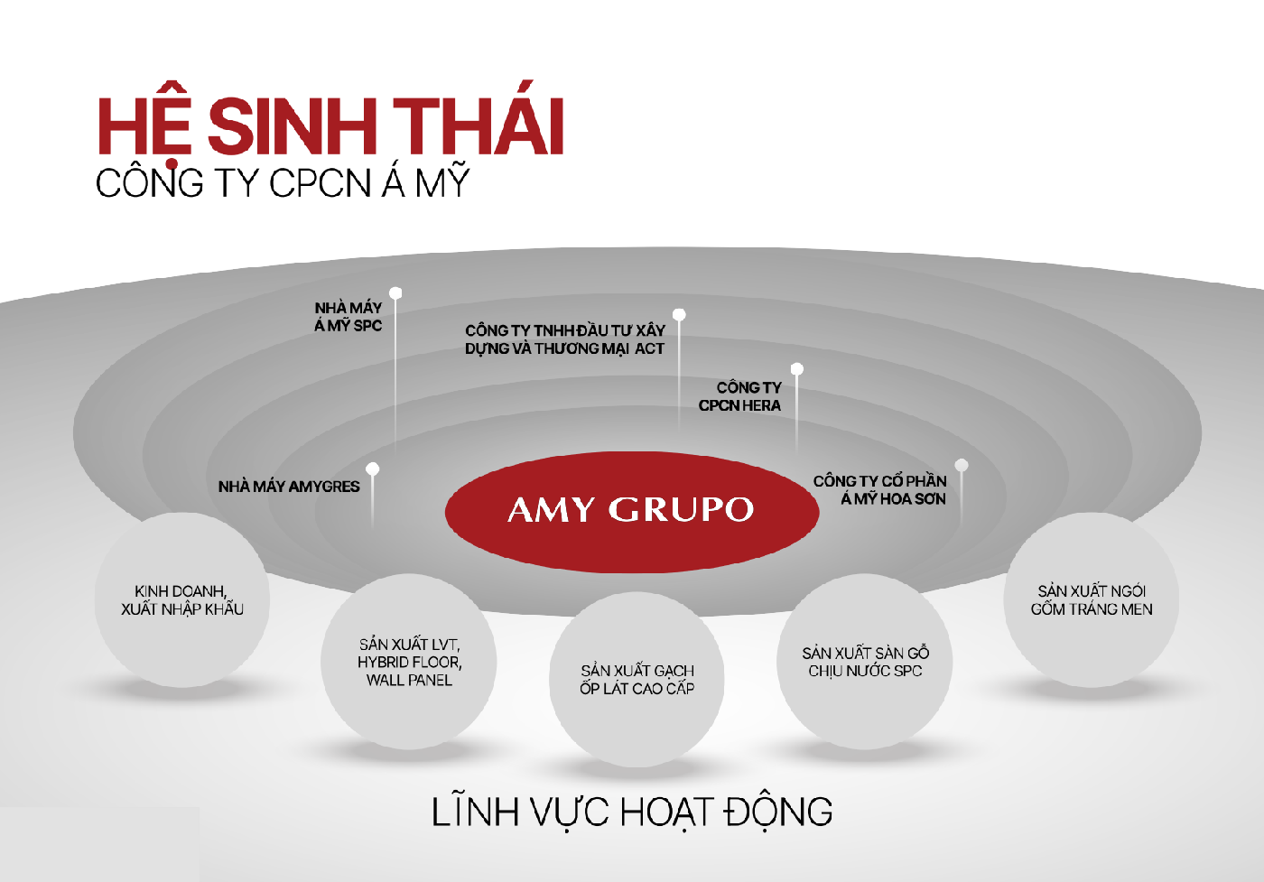 AMY GRUPO cán mốc 7.000 tỷ doanh thu sau một thập kỷ