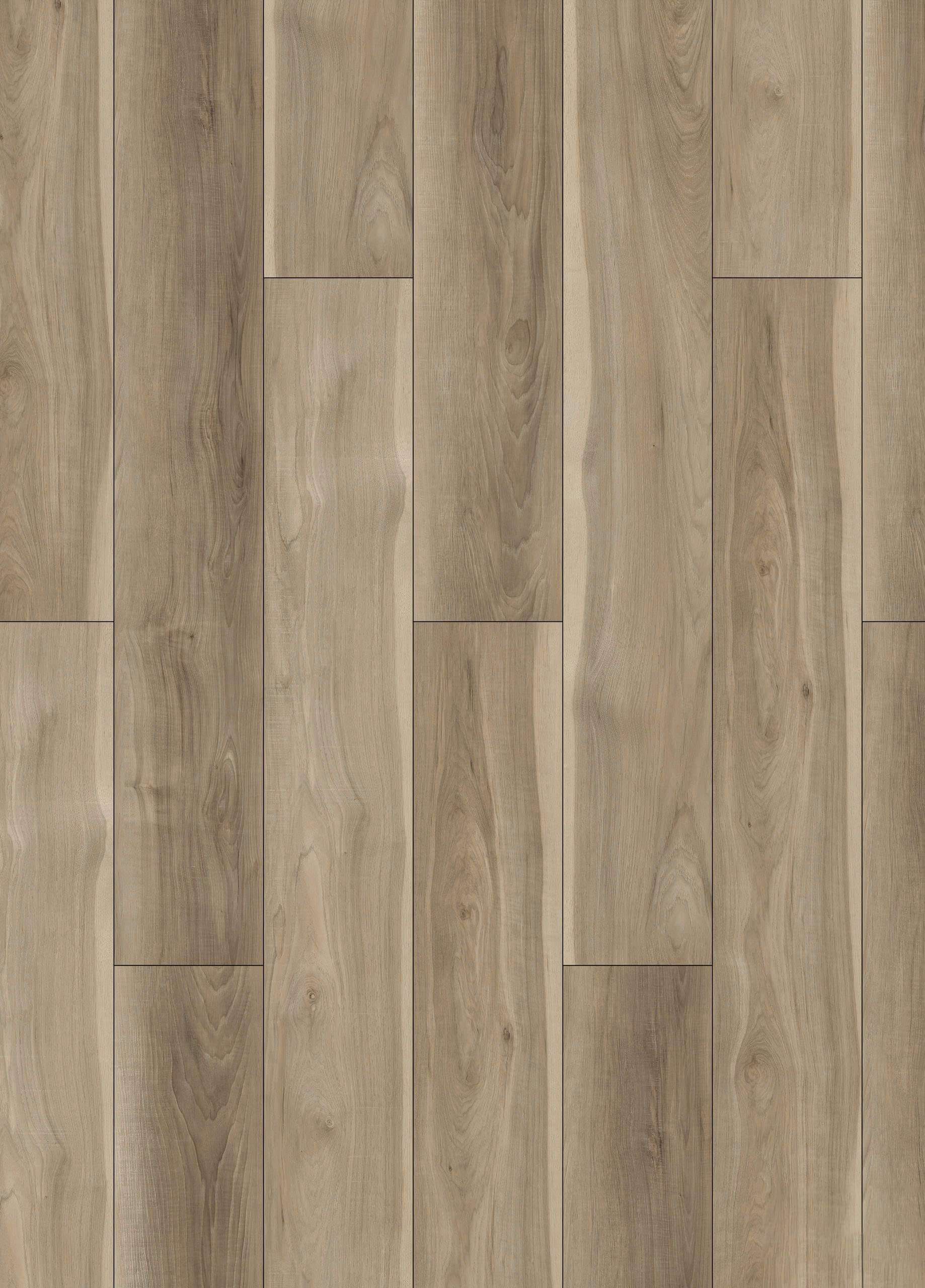 CARYA PECAN - 32H.WH.070.0004.01 CARYA PECAN - 32H.WH.070.0004.01