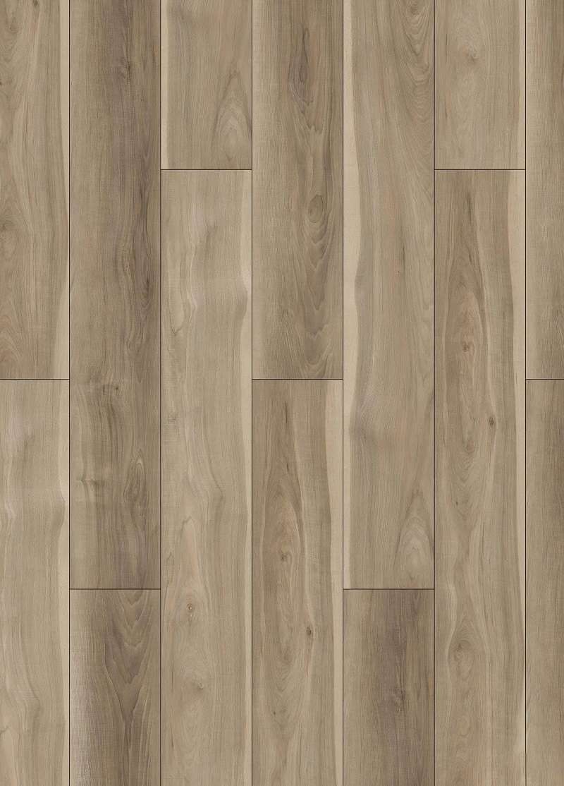 CARYA PECAN - 32H.WH.070.0004.01