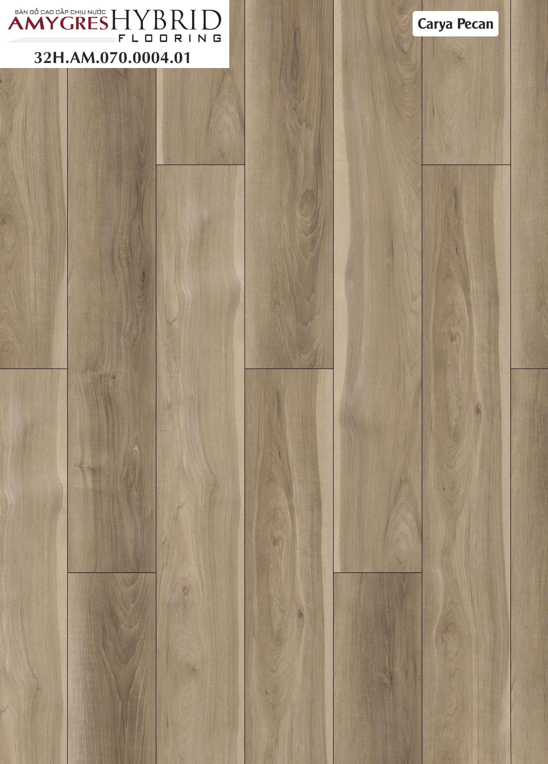 CARYA PECAN - 32H.WH.070.0004.01 CARYA PECAN - 32H.WH.070.0004.01