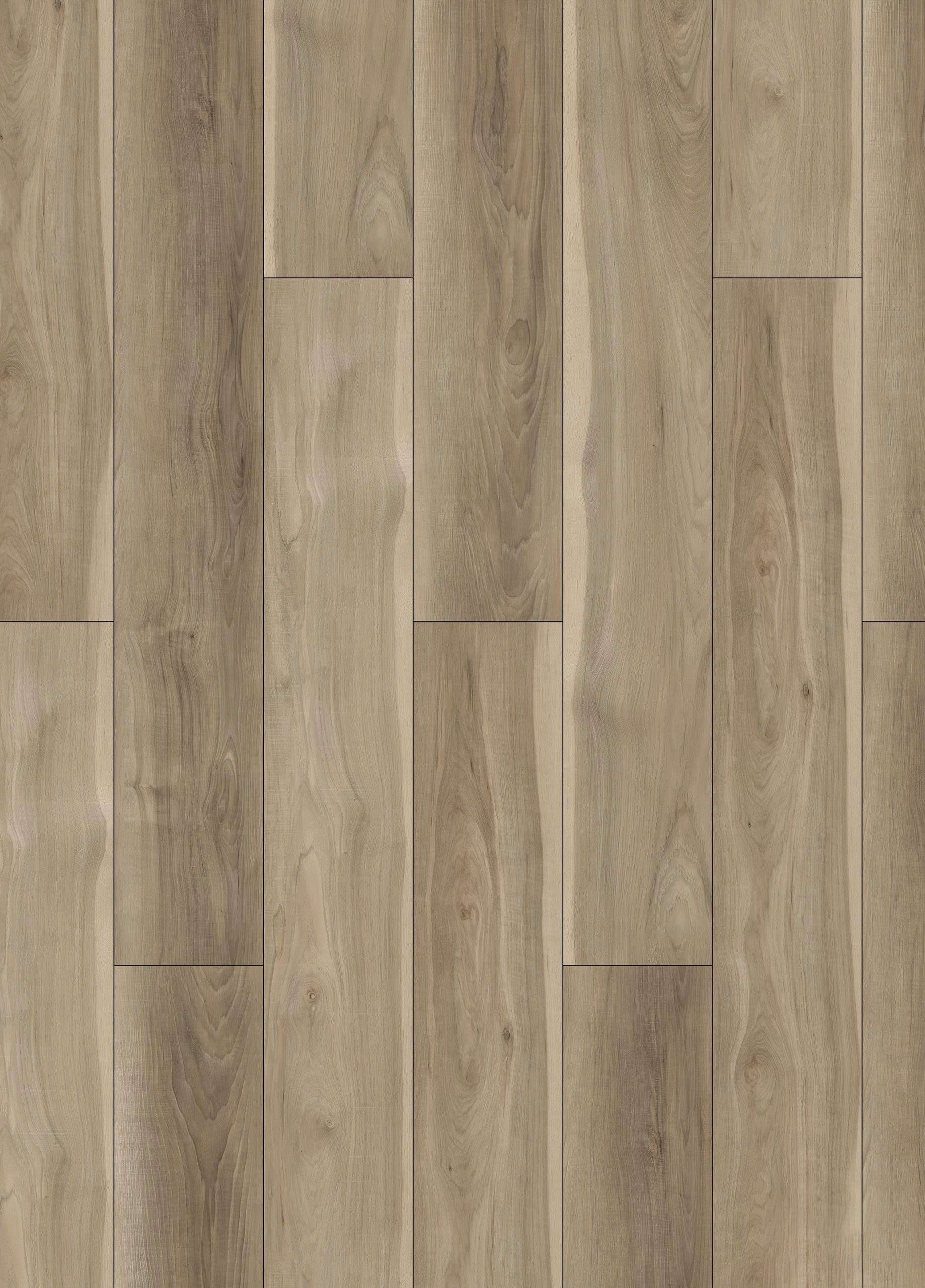 CARYA PECAN - 32H.WH.070.0004.01 CARYA PECAN - 32H.WH.070.0004.01