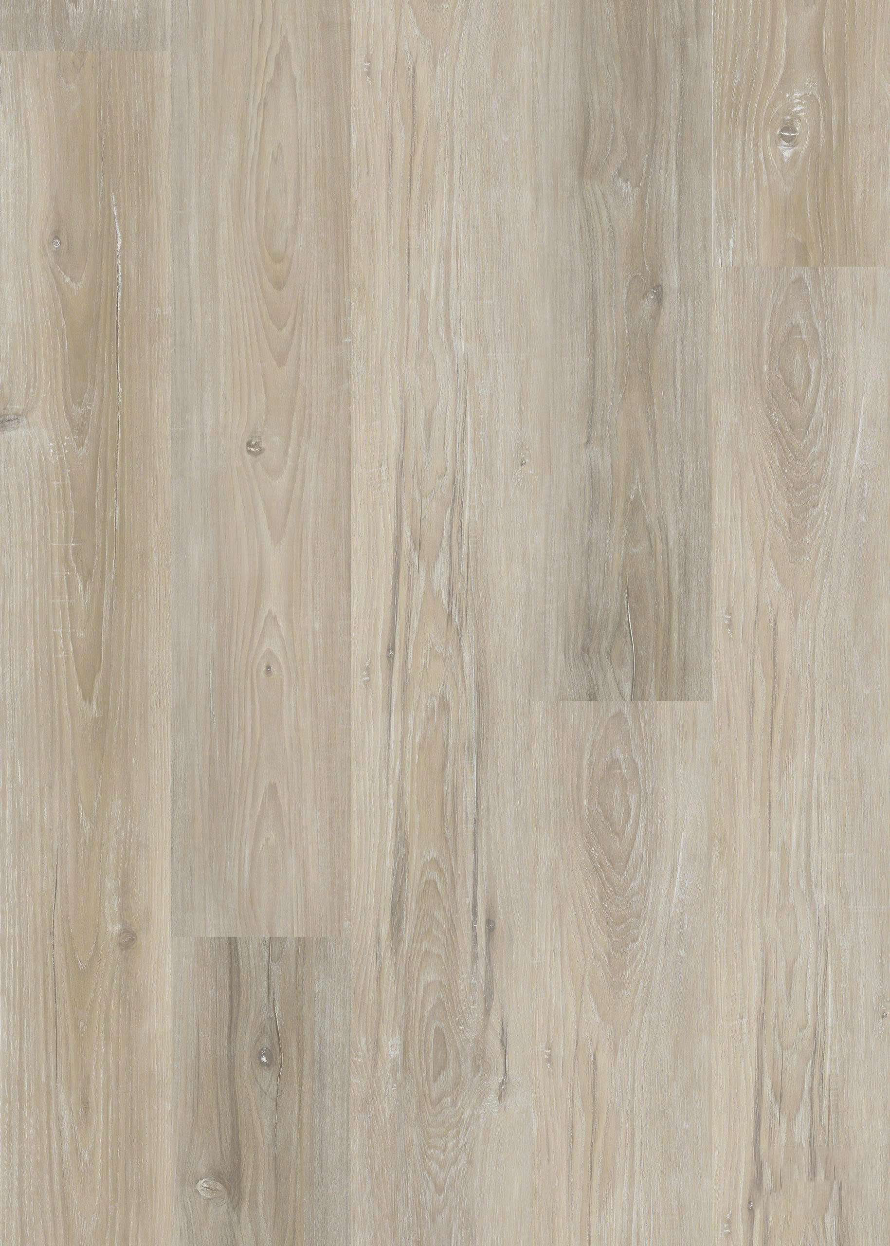 COTTONWOOD - 32H.WH.070.0216.01 COTTONWOOD - 32H.WH.070.0216.01