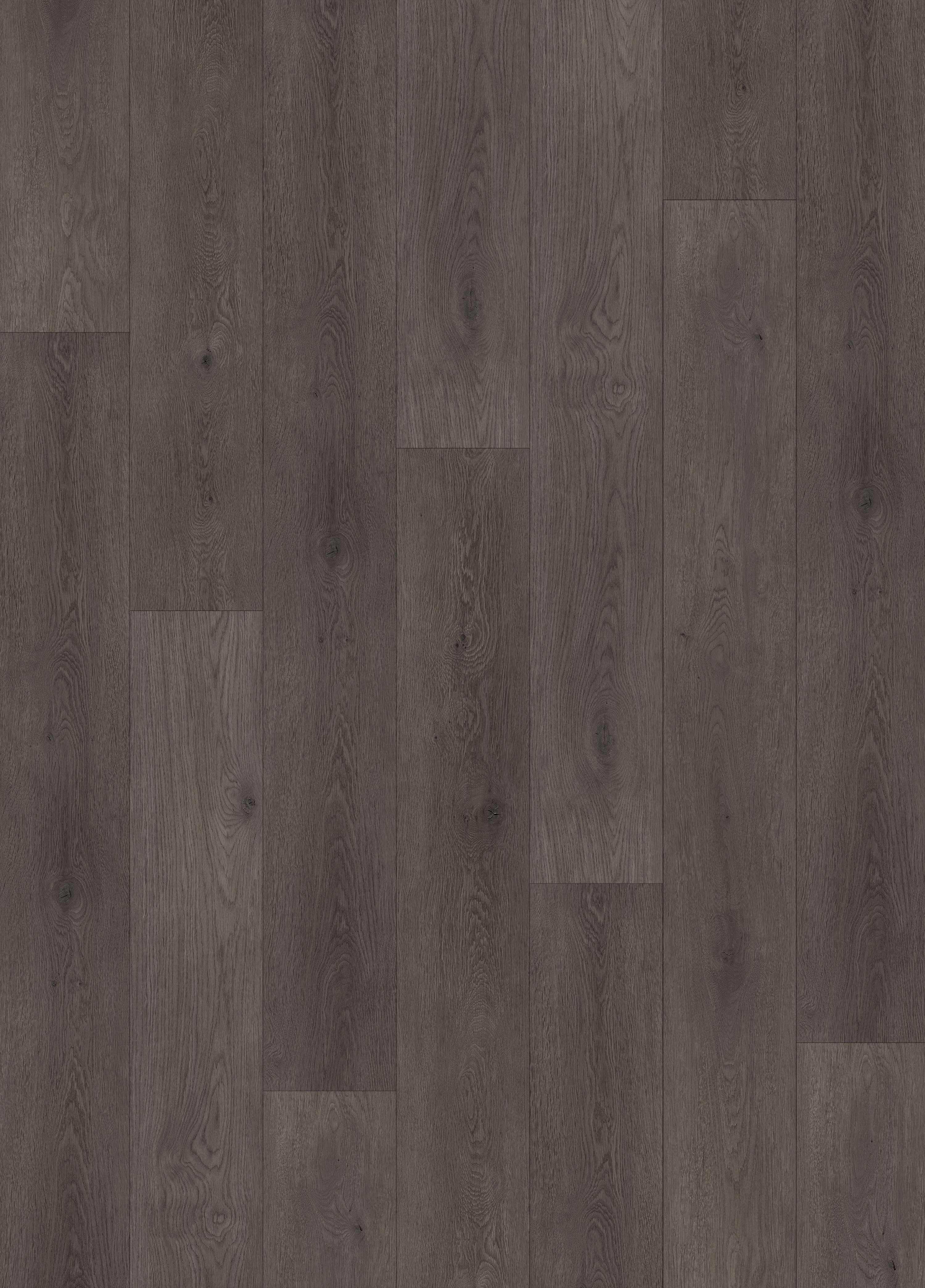 MIDNIGHT OAK