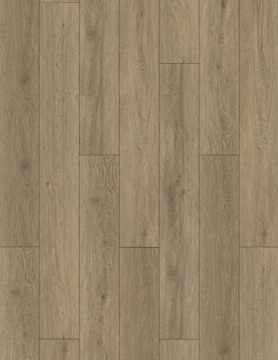 MINNESOTA OAK