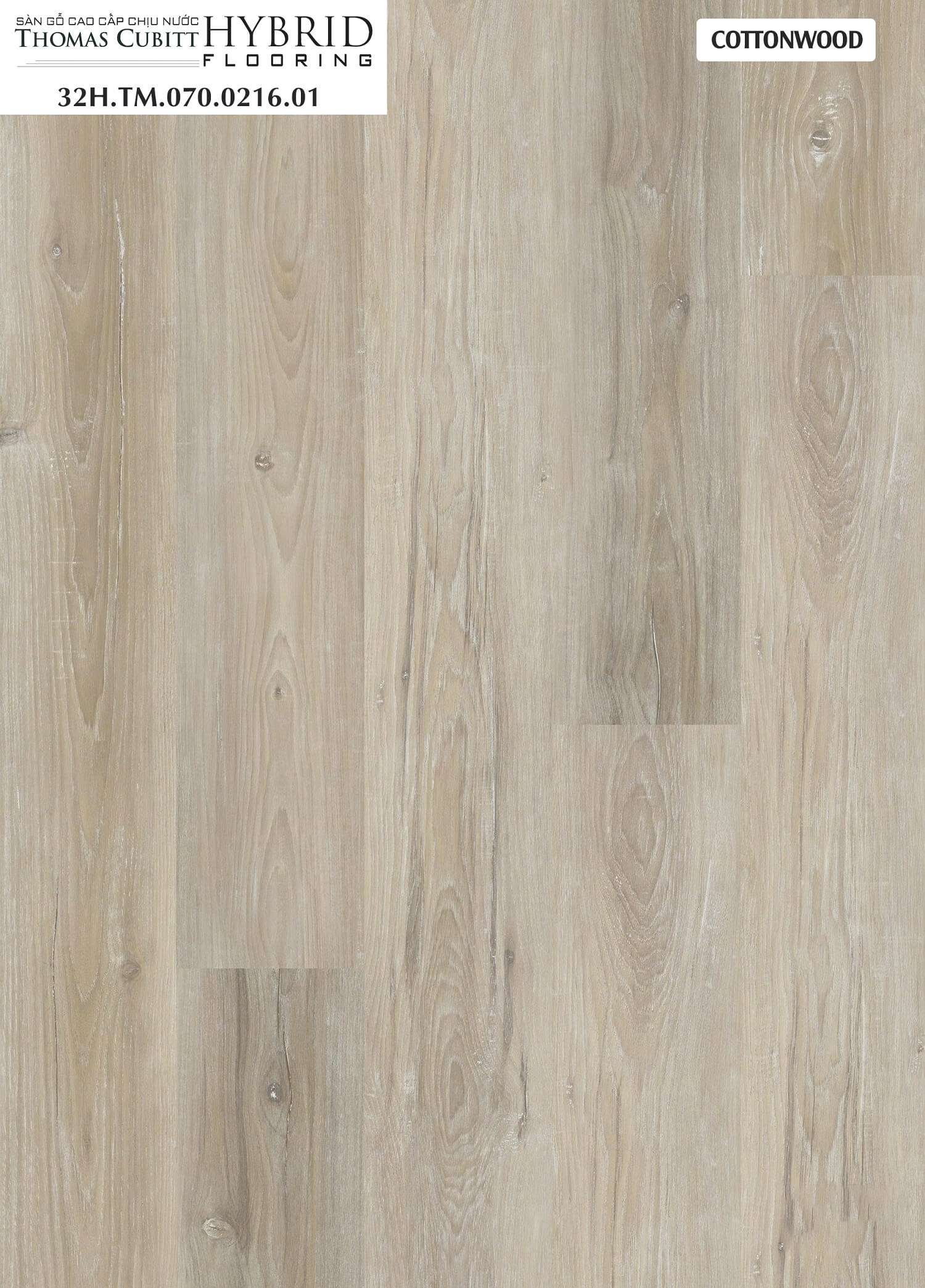 COTTONWOOD - 32H.WH.070.0216.01