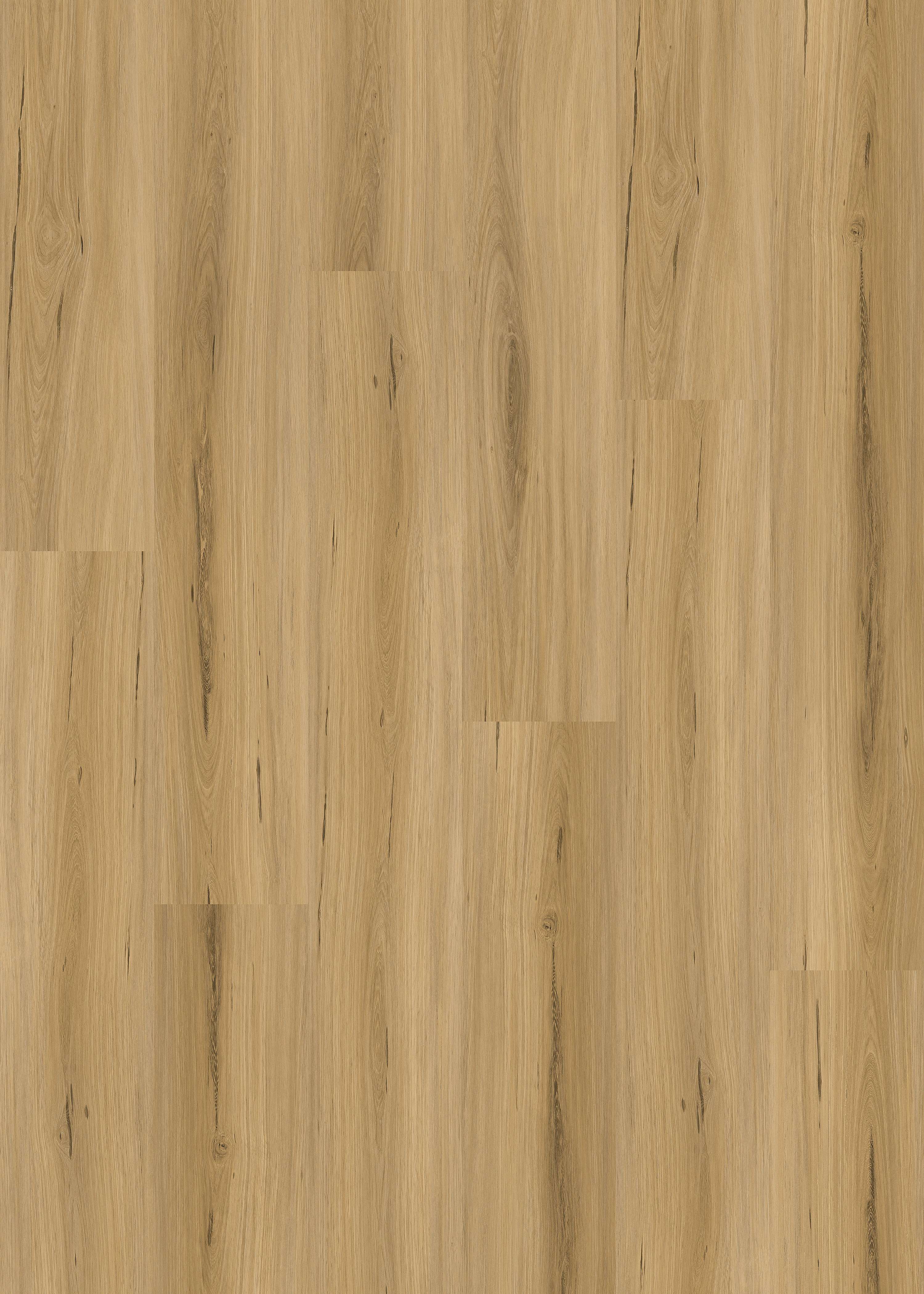 MAPLE