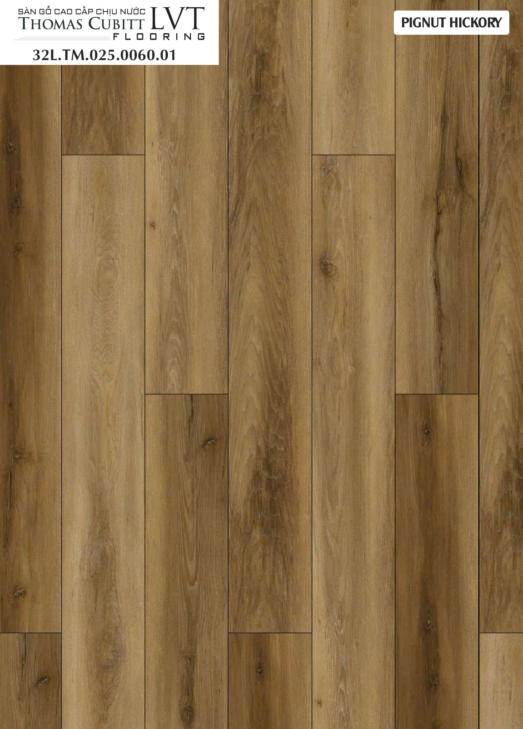 PIGNUT HICKORY - 32L.TM.025.0060.01