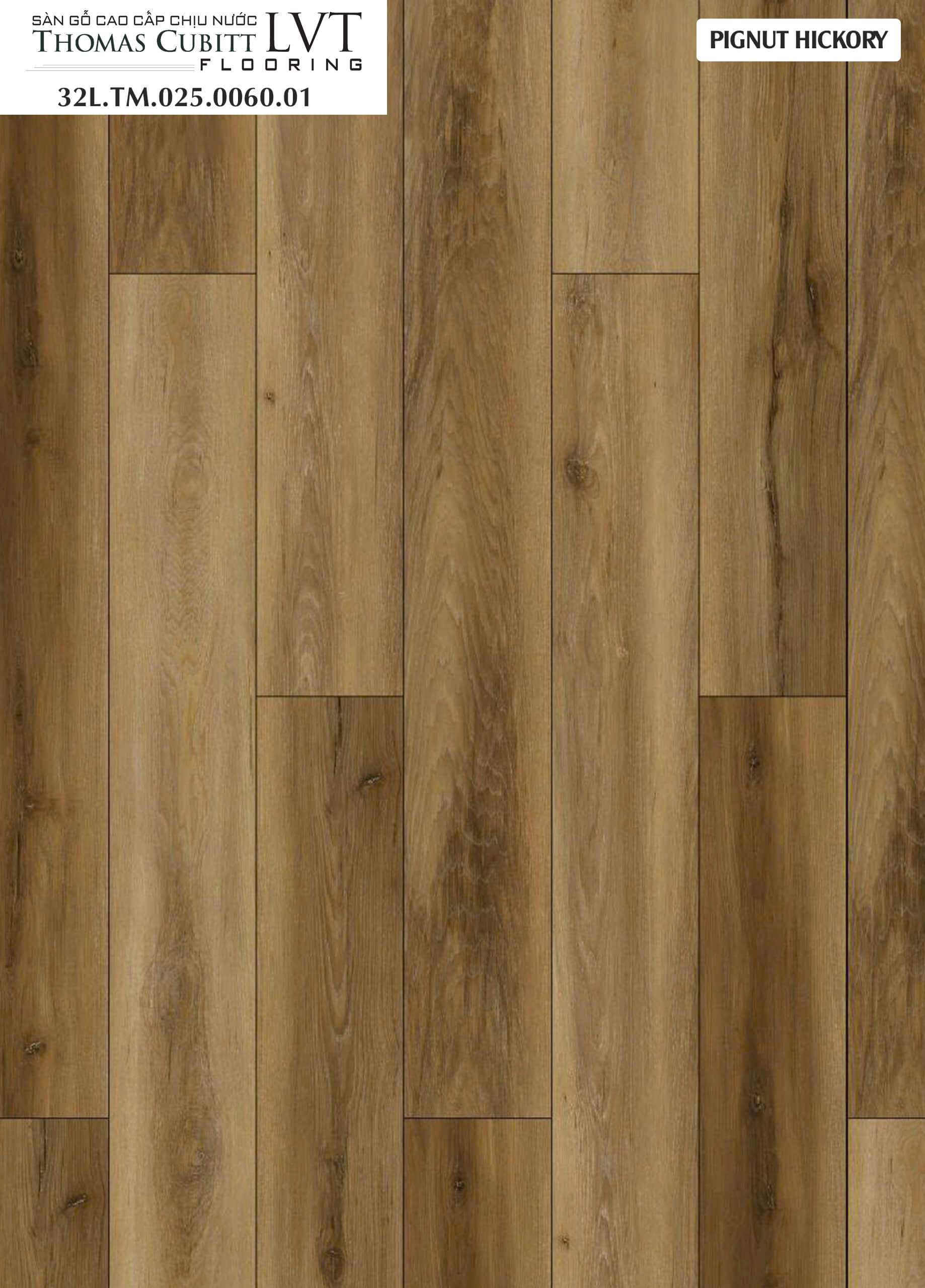 PIGNUT HICKORY - 32L.TM.025.0060.01 PIGNUT HICKORY - 32L.TM.025.0060.01