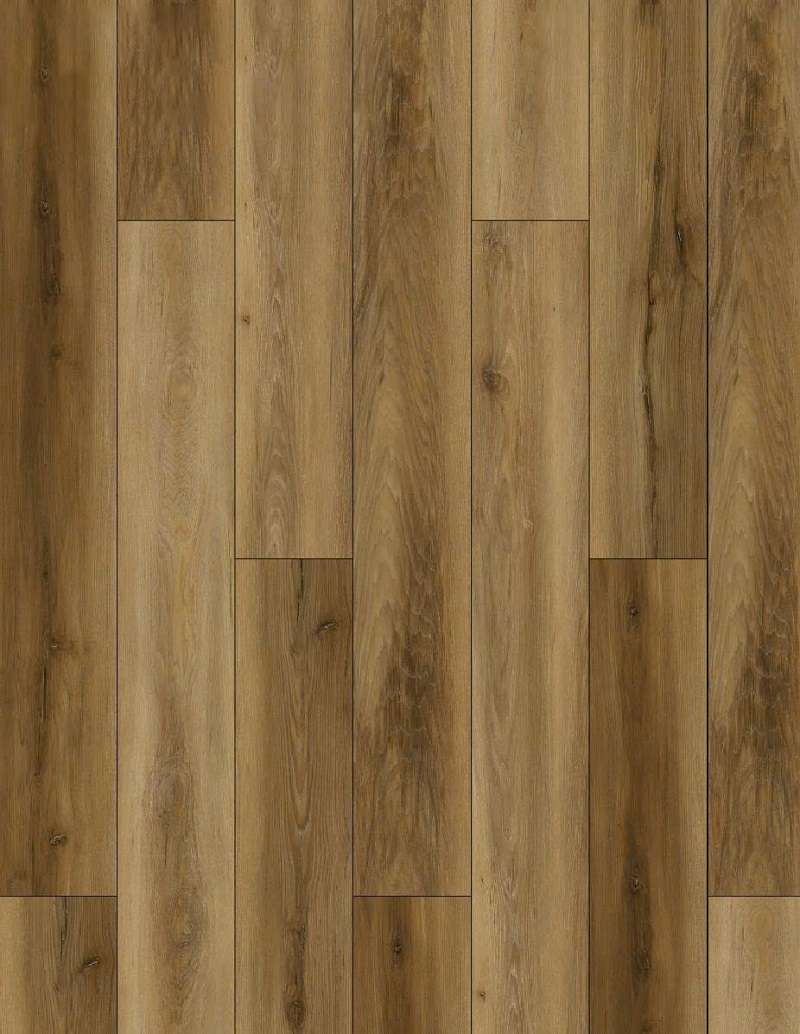 PIGNUT HICKORY - 32L.TM.025.0060.01