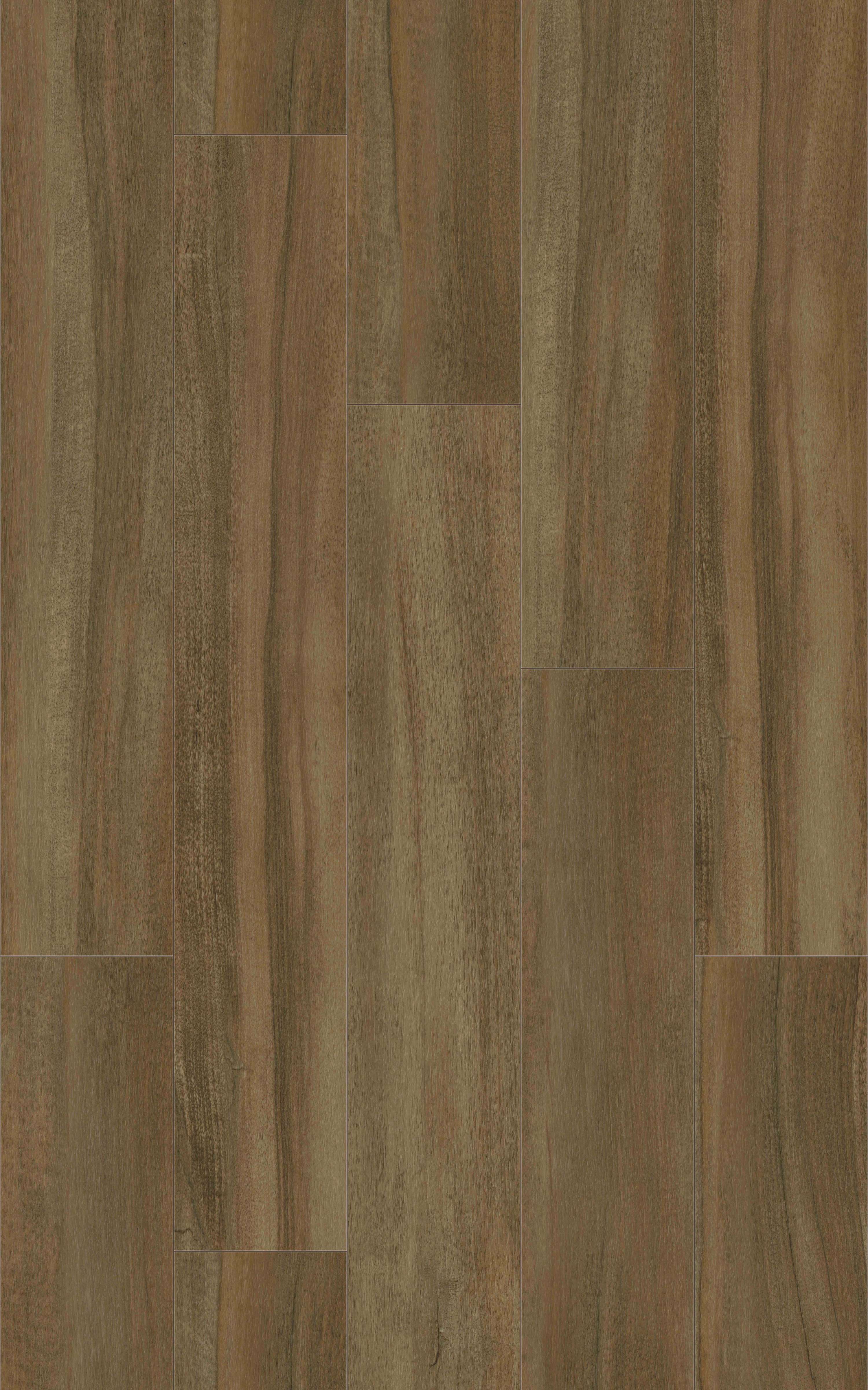 BUNGALOW - 31.AM.50.0359.05