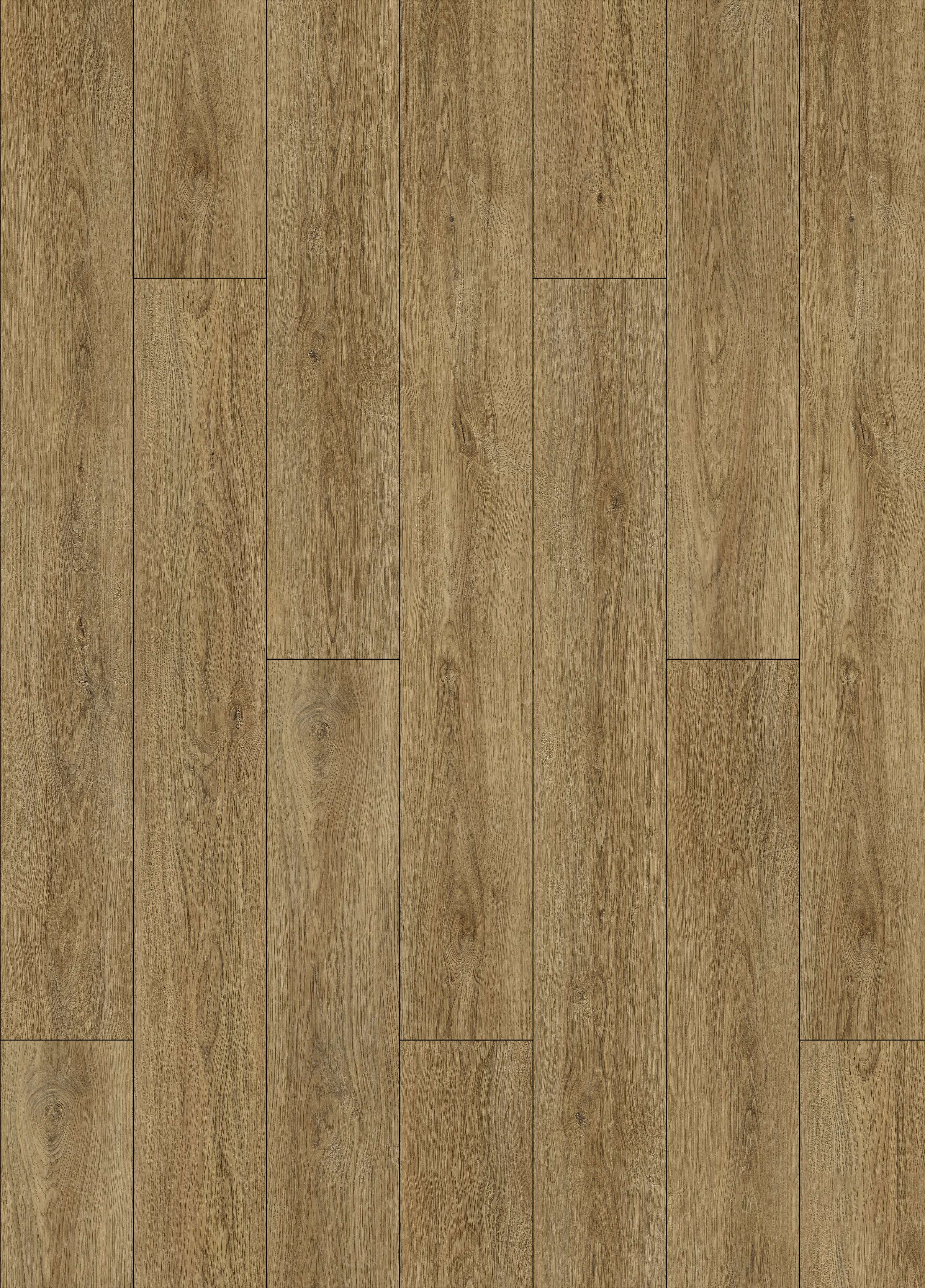 PULLMAN OAK - 31.AM.50.0062.23