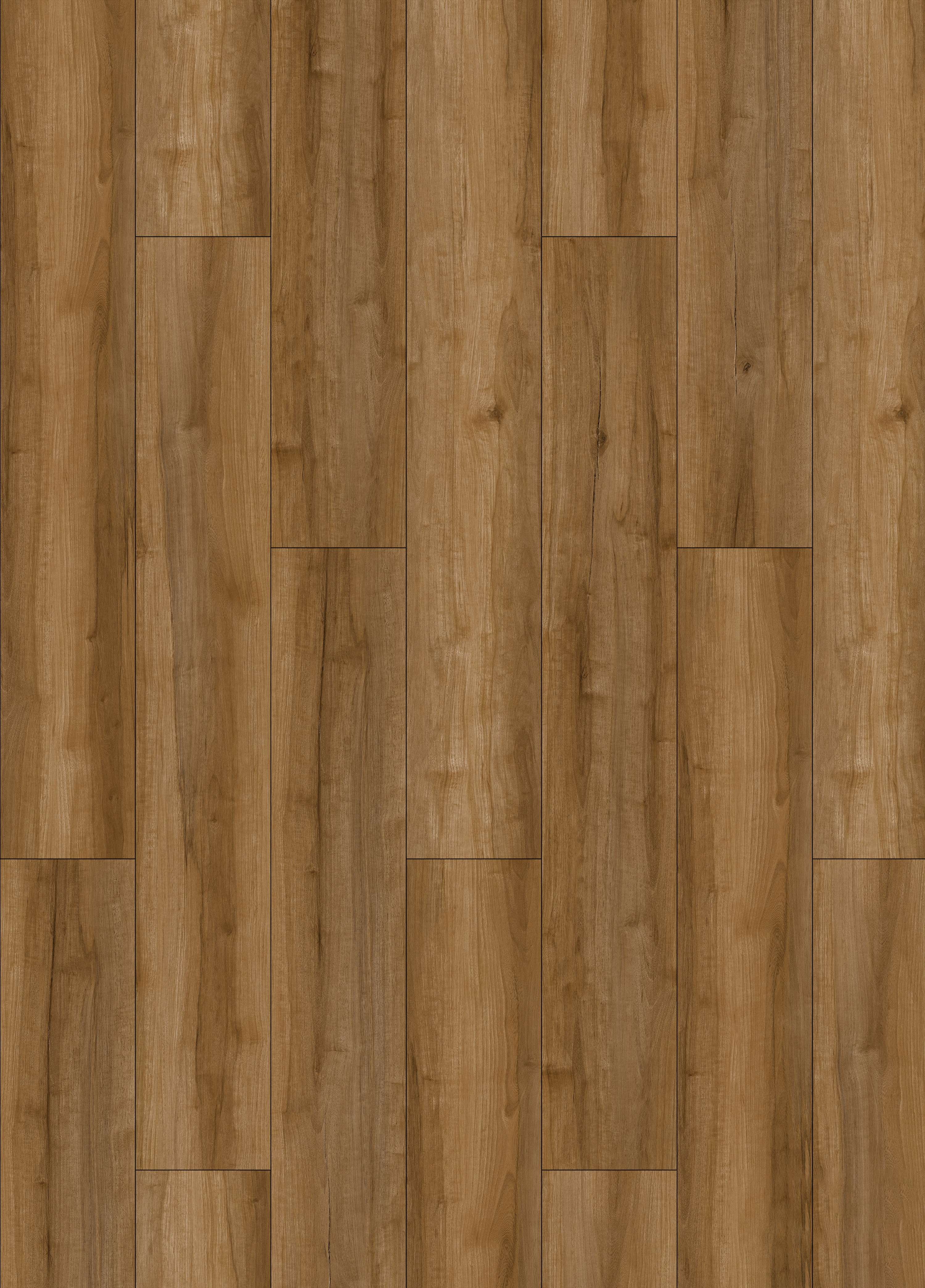 TROY SANDEL - 31.AM.60.0061.23 TROY SANDEL - 31.AM.60.0061.23