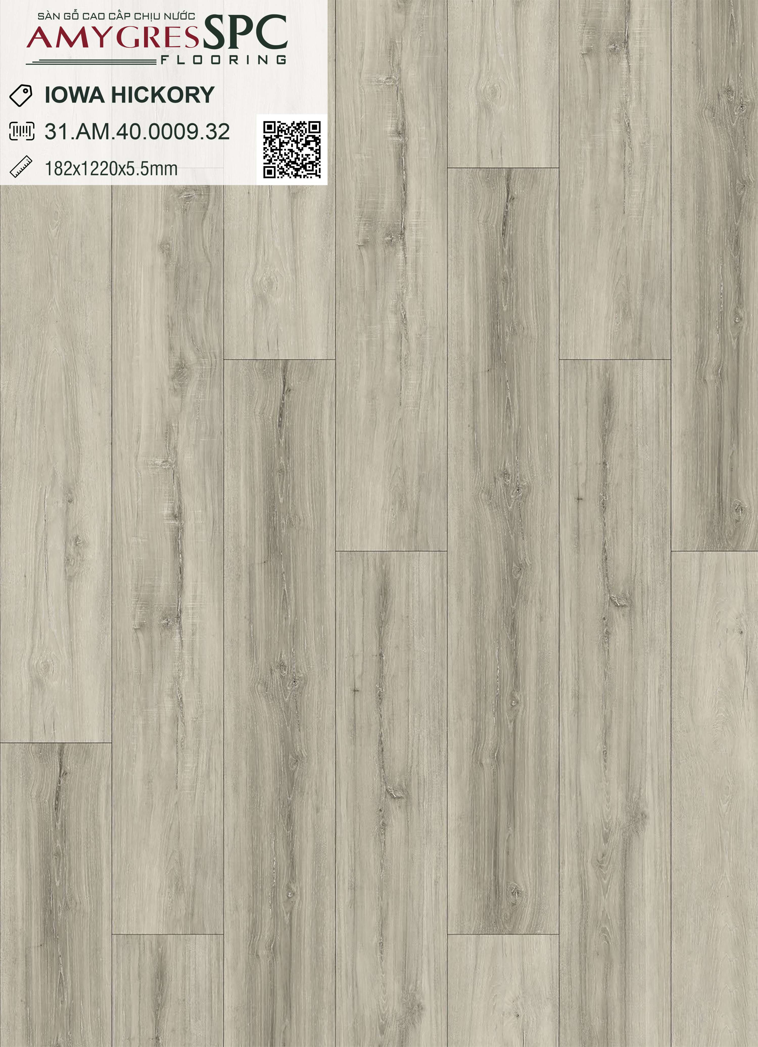 IOWA HICKORY 31.AM.40.0009.32