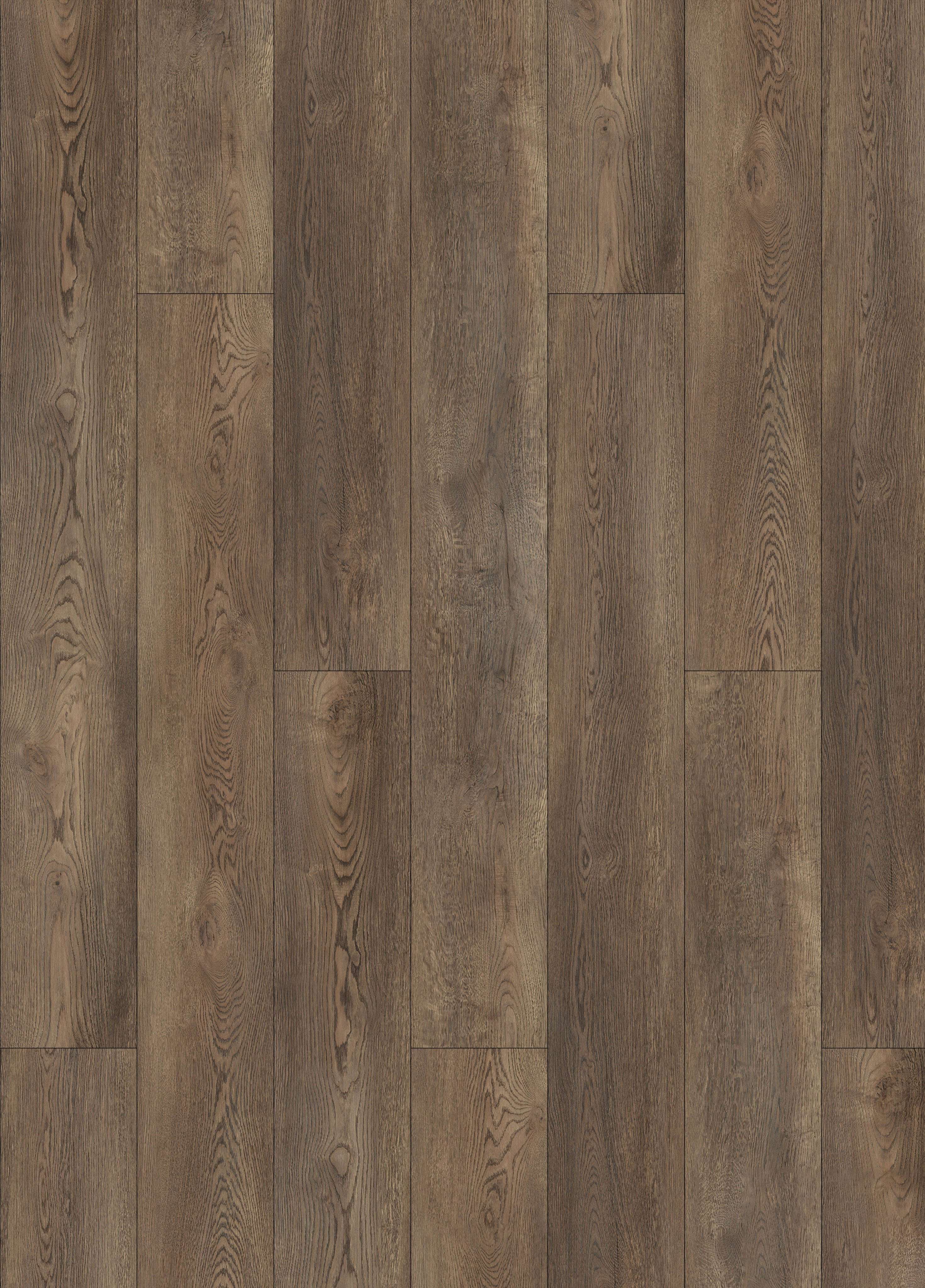 CAROLINA OAK 31.AM.40.0012.03