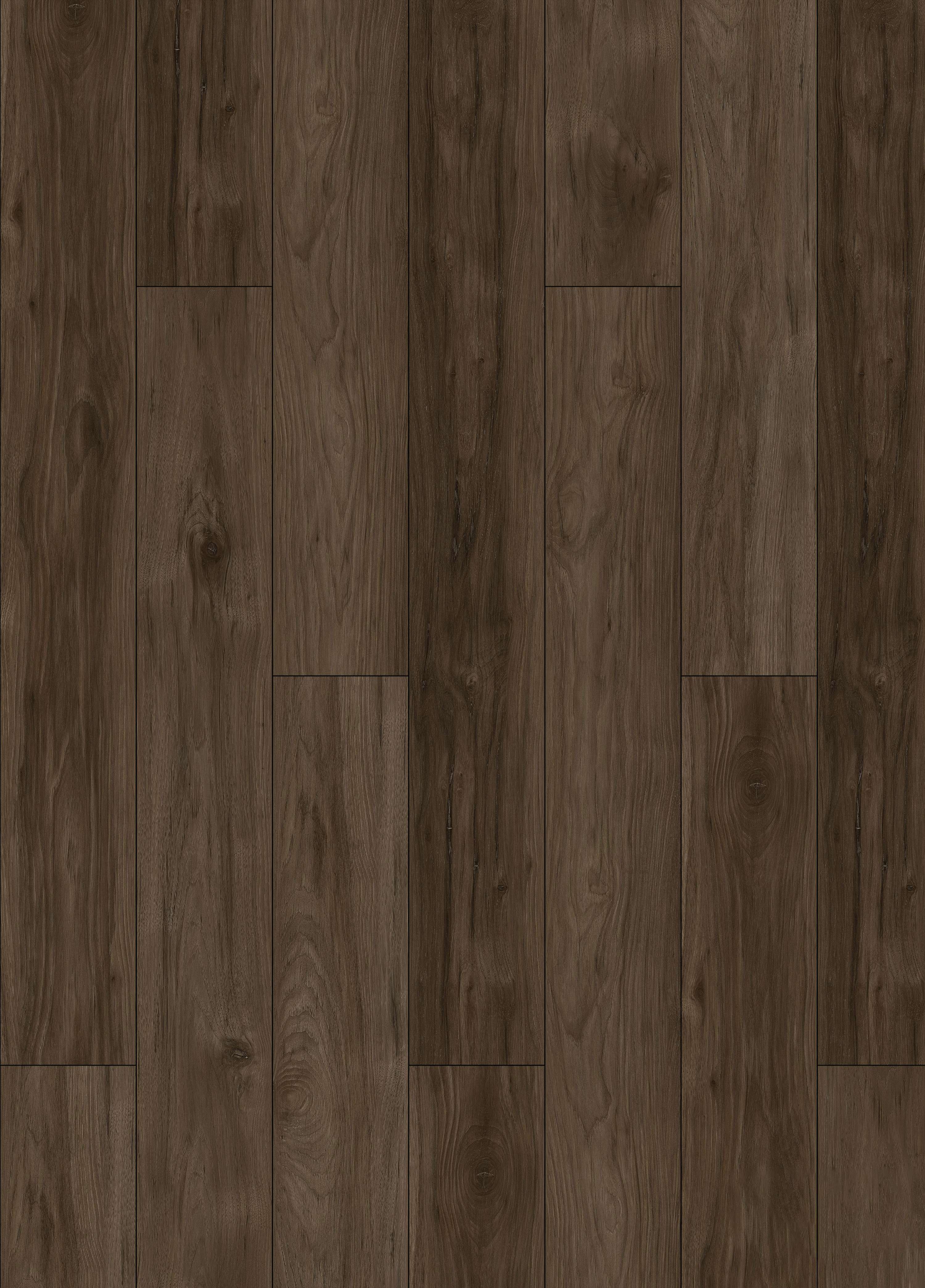 DEARY HICKORY - 31.AM.60.0011.41