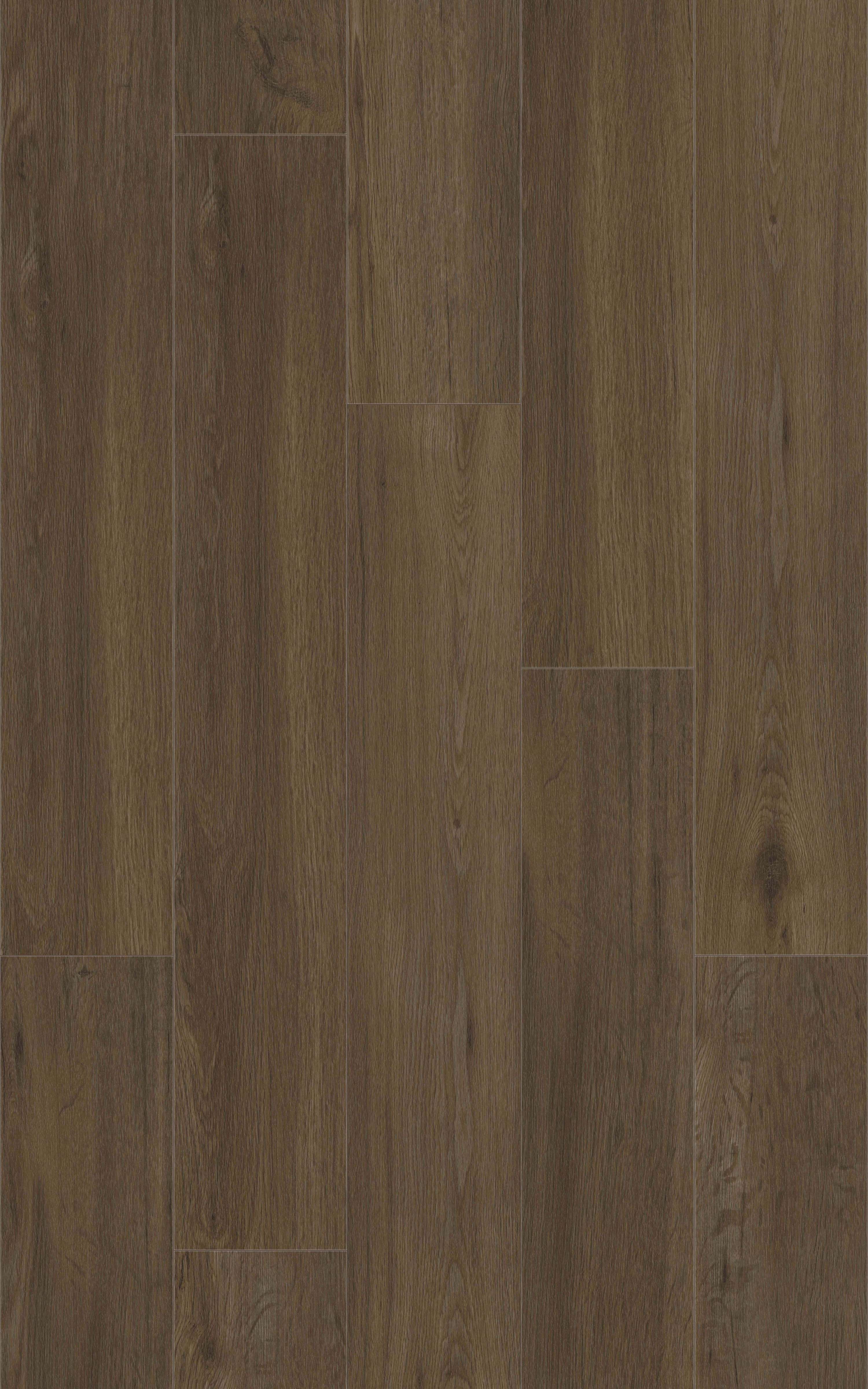 LATTE - 31.AM.50.0352.07