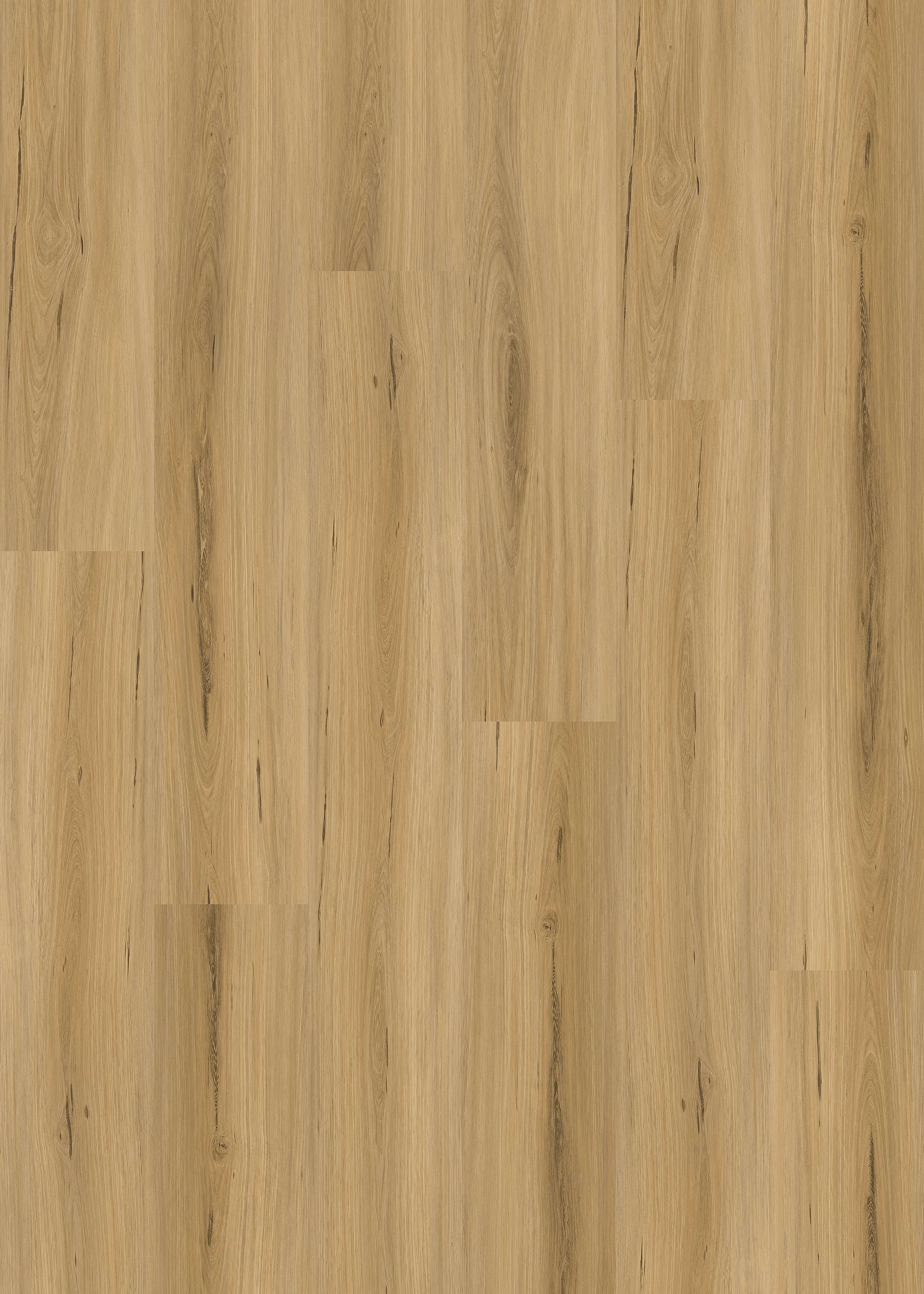 MAPLE