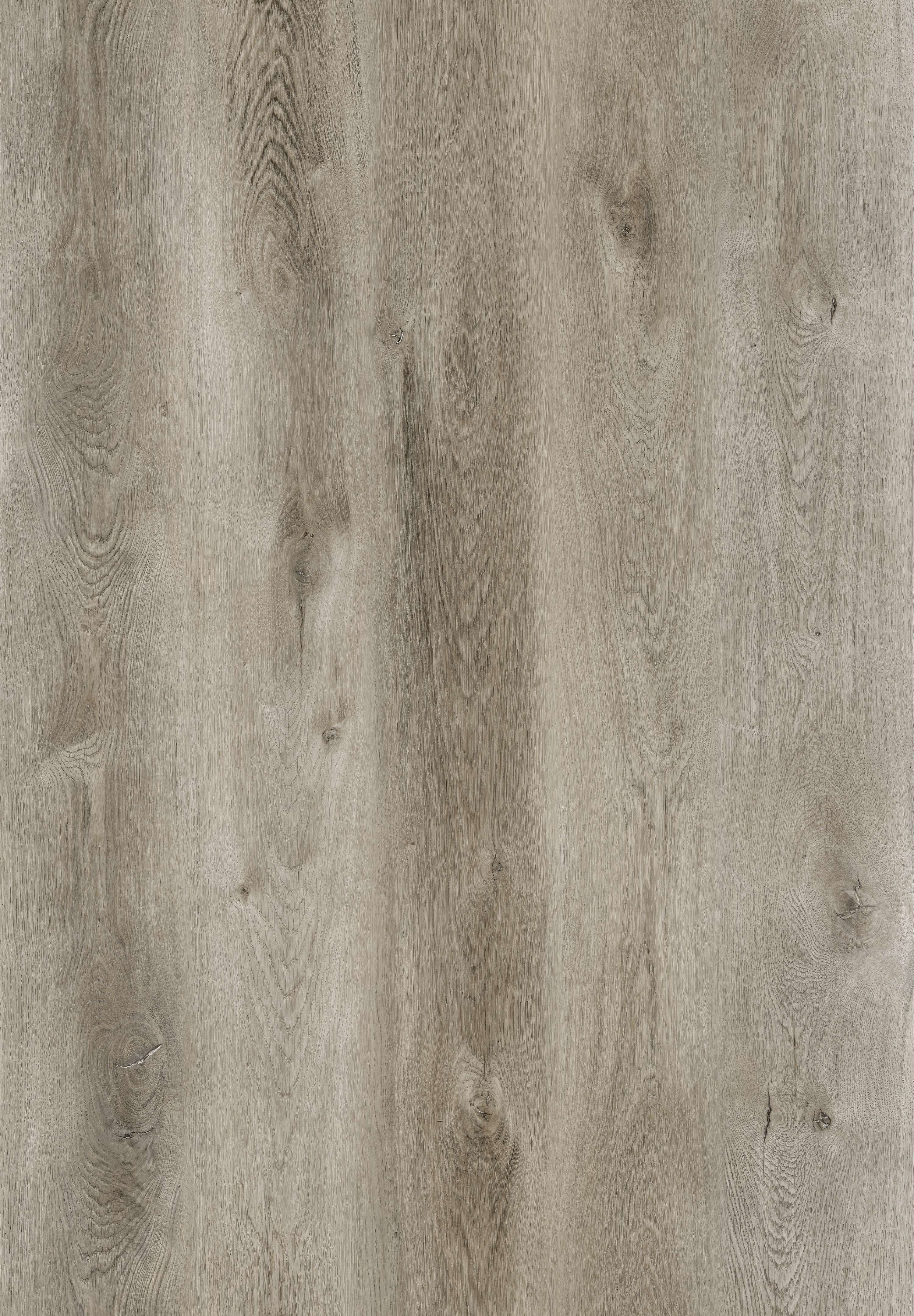 PELICAN GRAY
