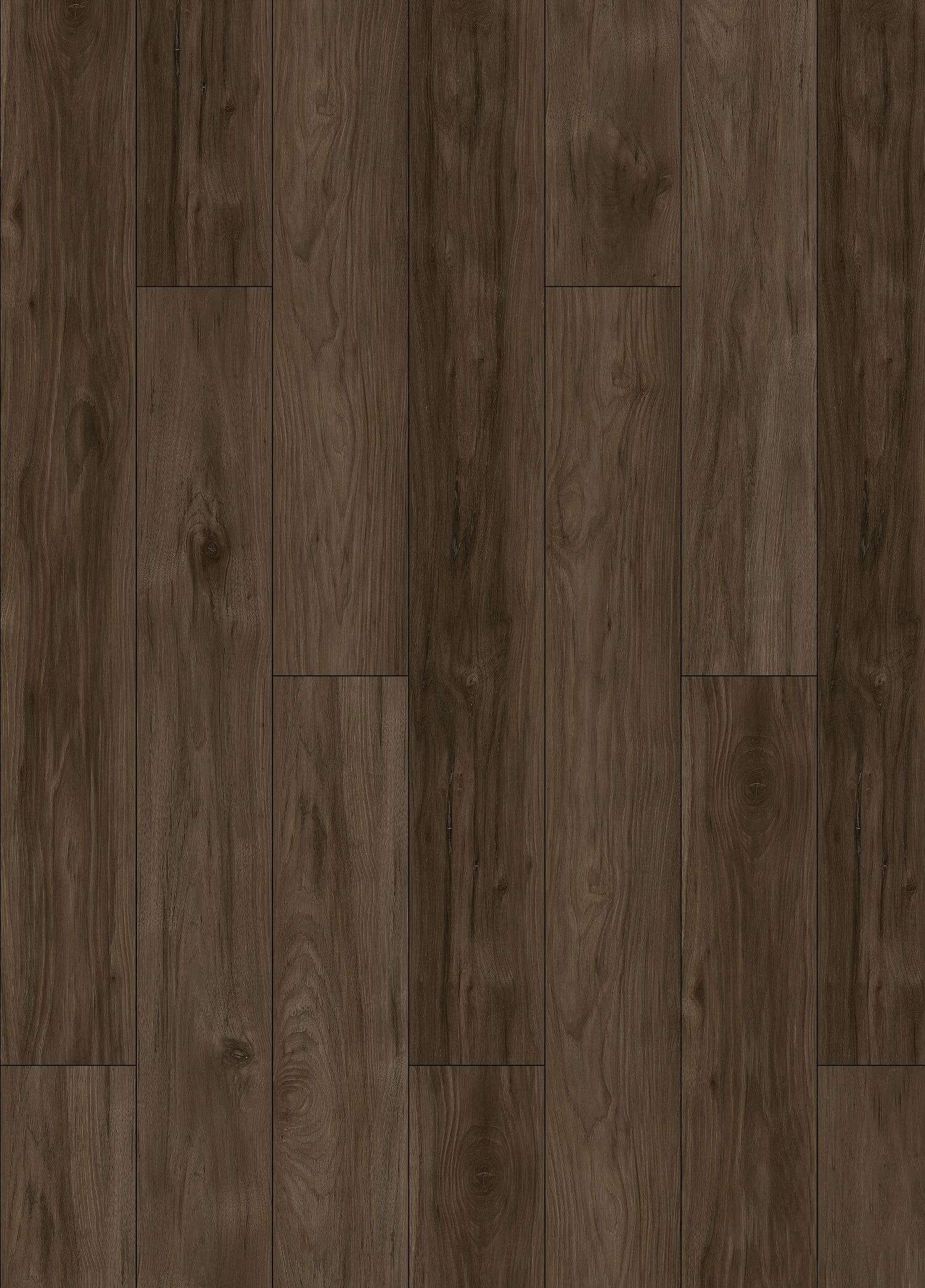 DEARY HICKORY 31.AM.50.0011.34