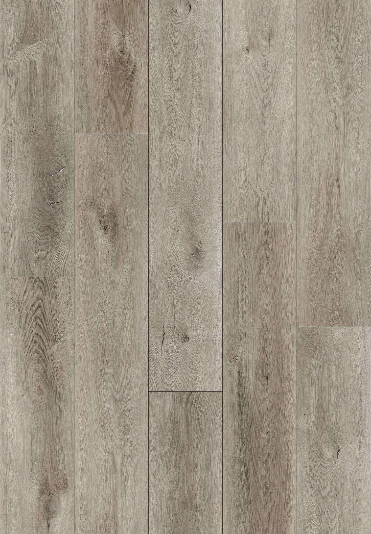 PELICAN GRAY 31.AM.40.0087.23 PELICAN GRAY 31.AM.40.0087.23