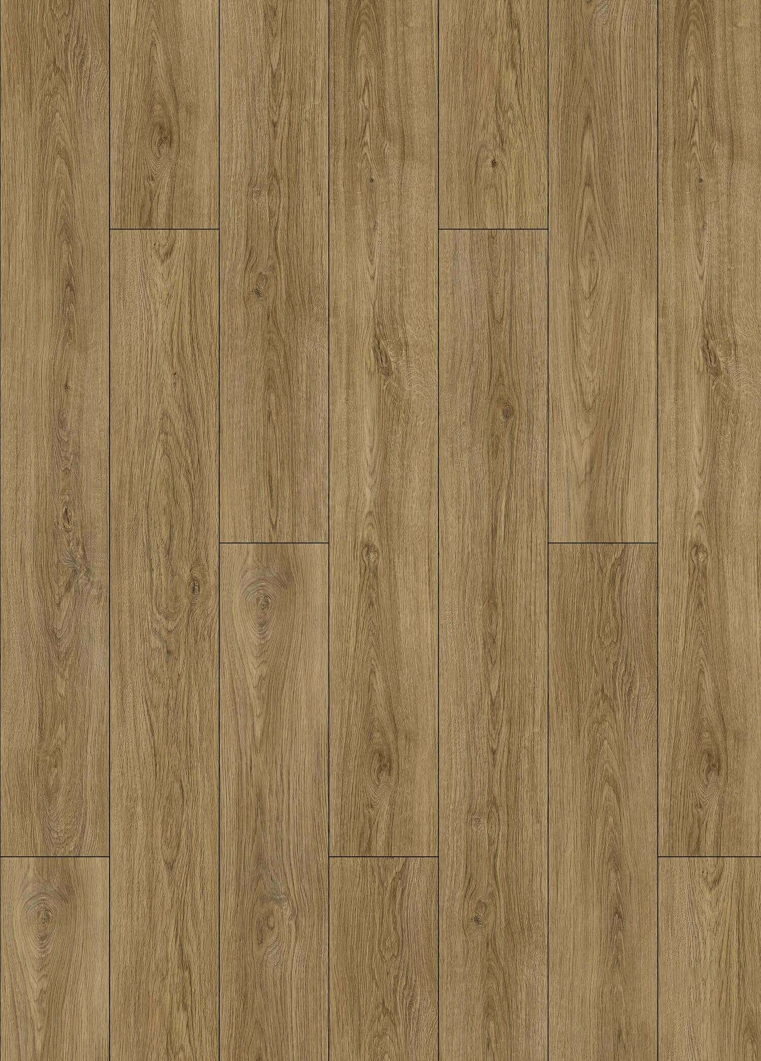 PULLMAN OAK 31.AM.60.0062.22