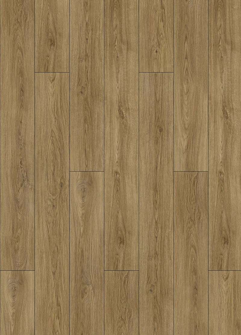 PULLMAN OAK 31.AM.60.0062.22