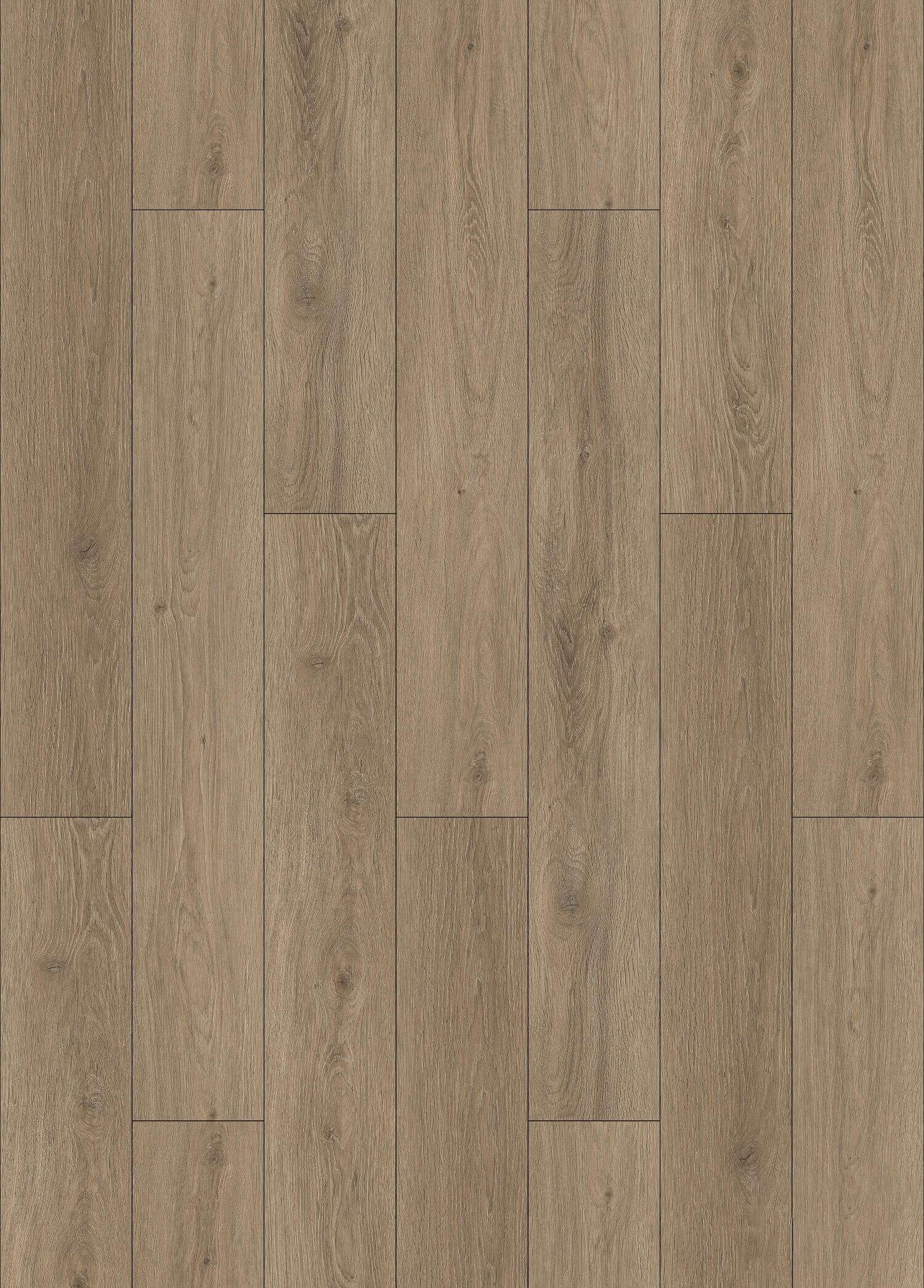VASA OAK 31.AM.40.0007.32 VASA OAK 31.AM.40.0007.32