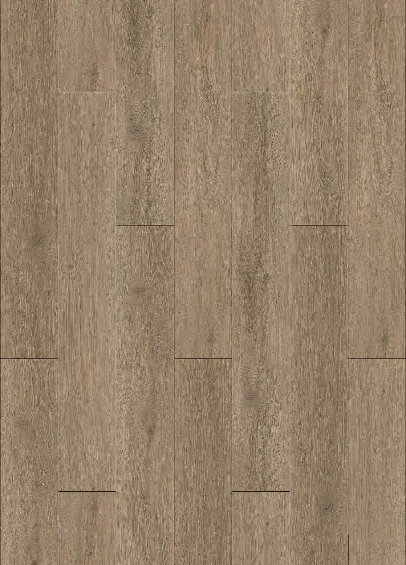 VASA OAK 31.AM.40.0007.32