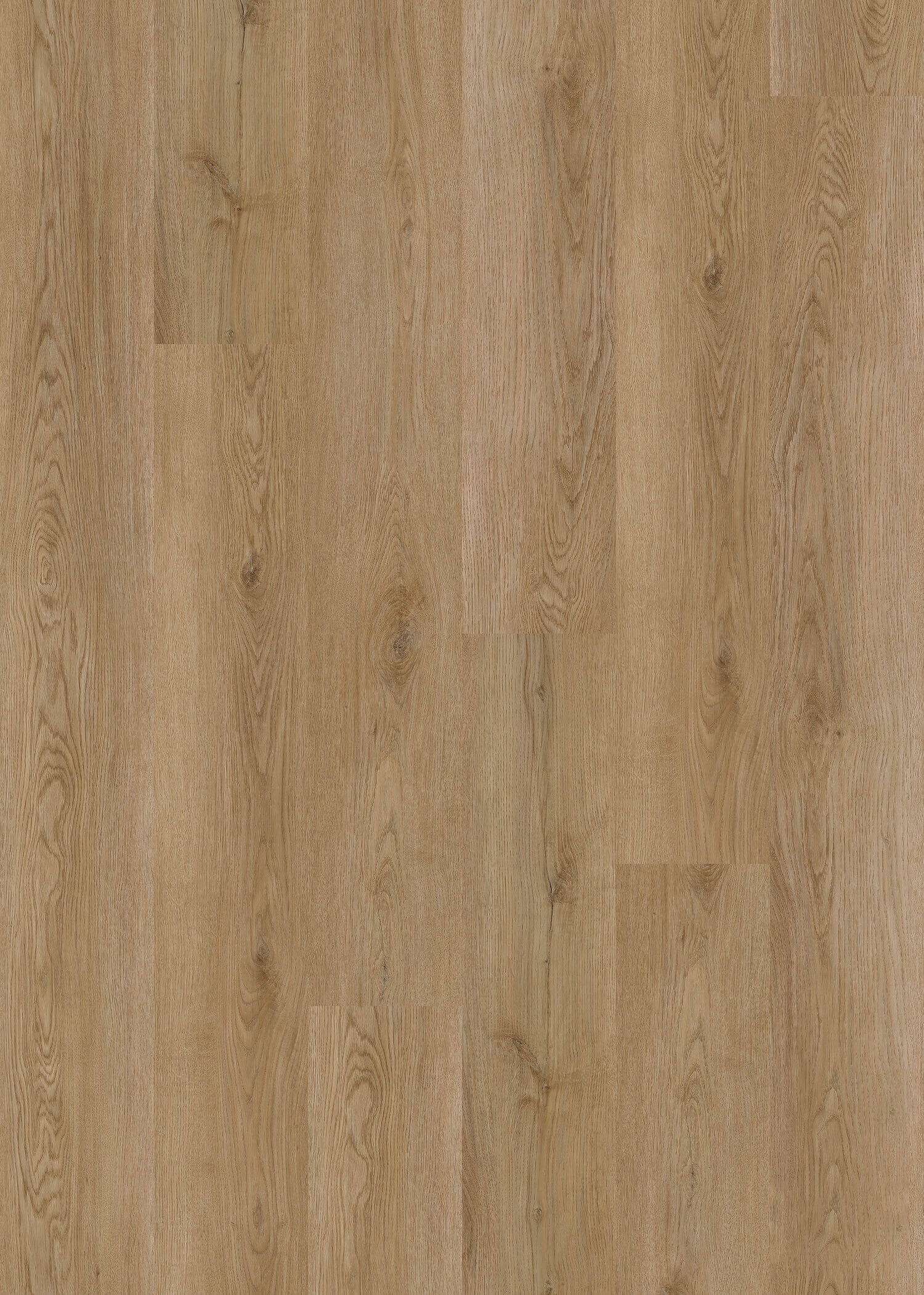 NATURAL PINE - 31.AM.50.0096.31-32 NATURAL PINE - 31.AM.50.0096.31-32