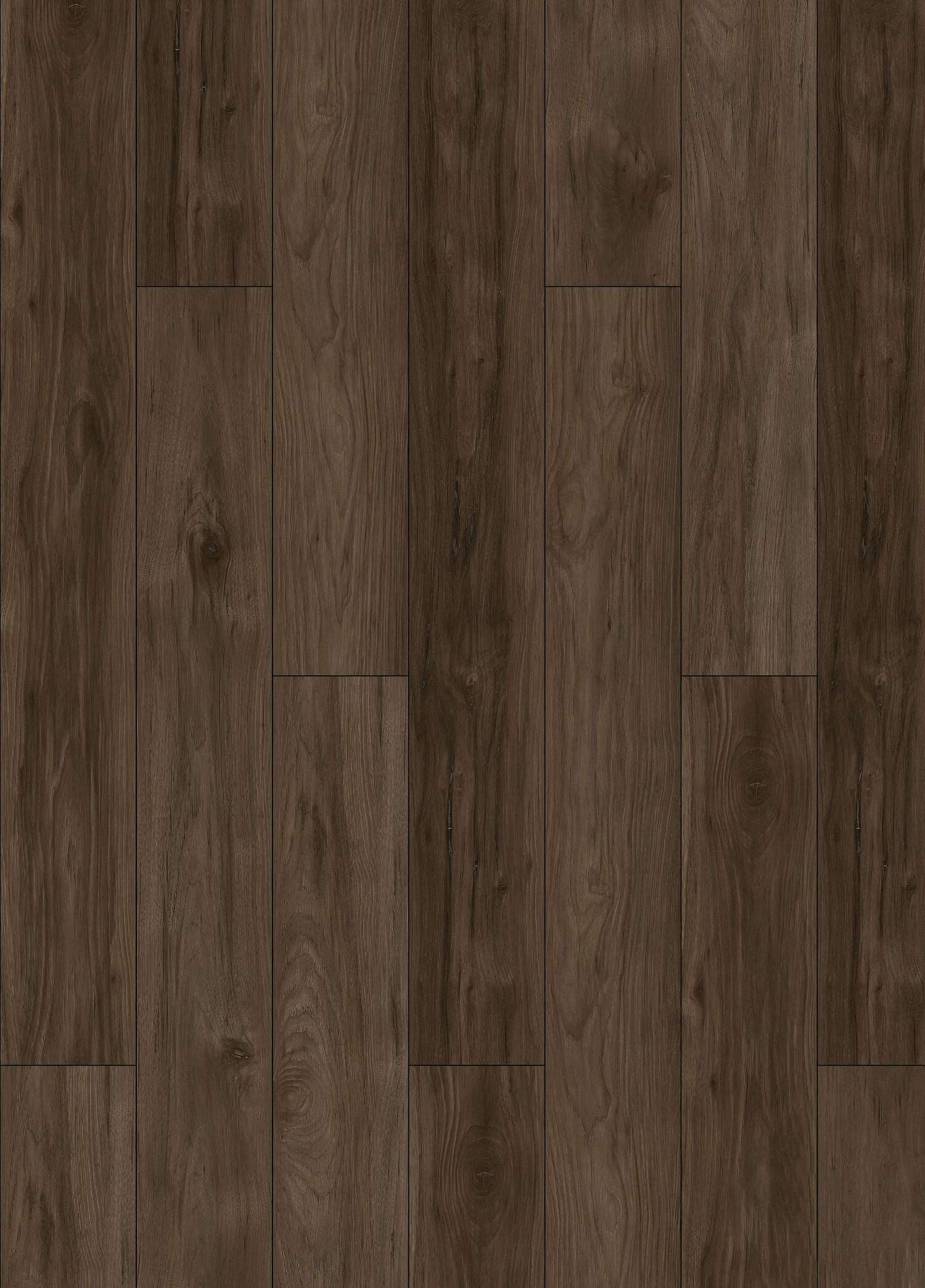 DEARY HICKORY - 31.AM.60.0011.41