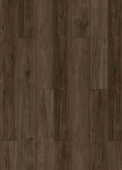 DEARY HICKORY - 31.AM.60.0011.41