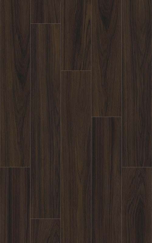 FRESH BREW - 31.AM.50.0357.07