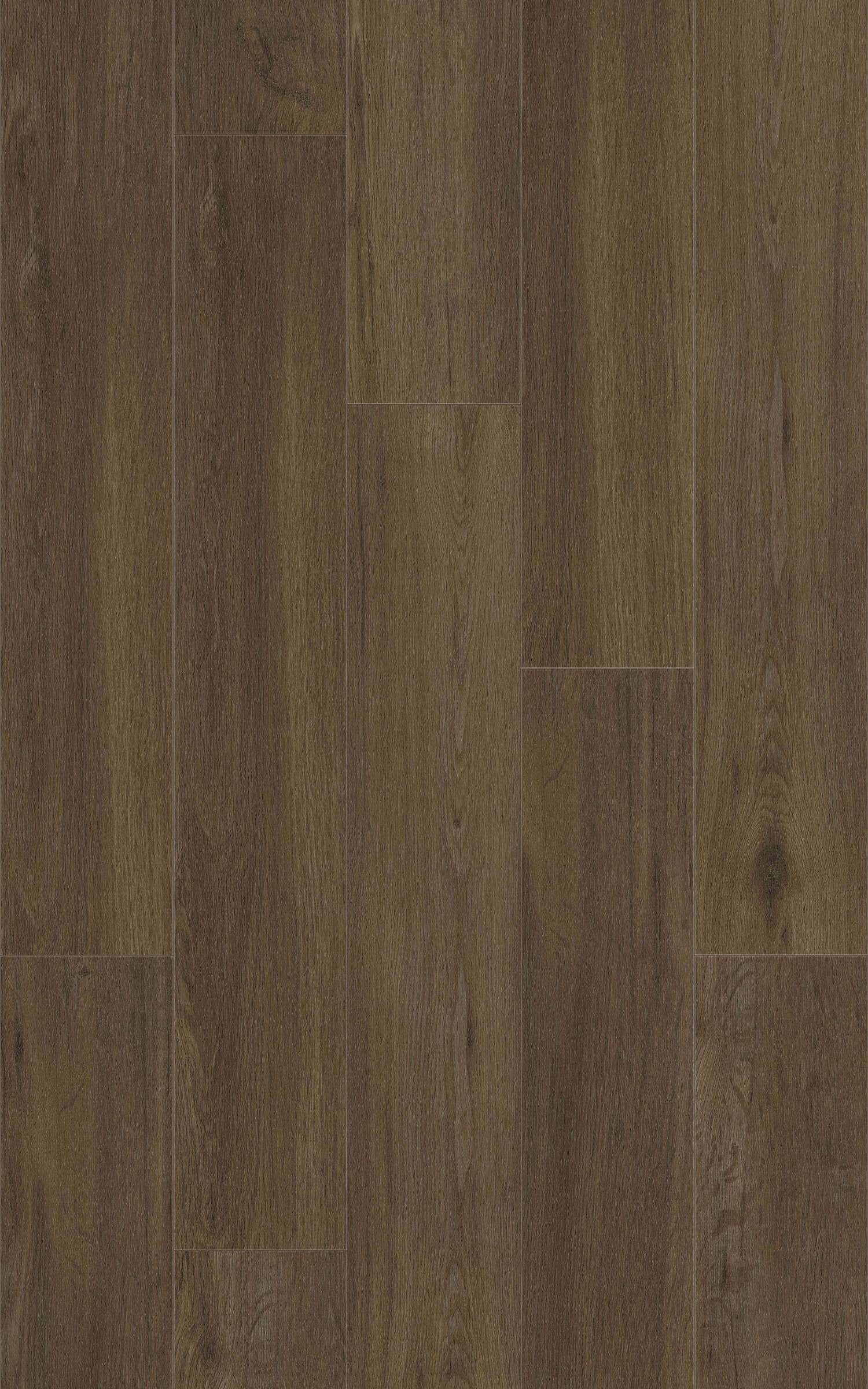 LATTE - 31.AM.50.0352.07