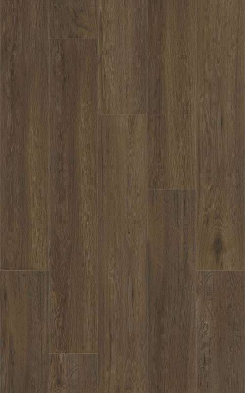 BUNGALOW - 31.AM.50.0359.05