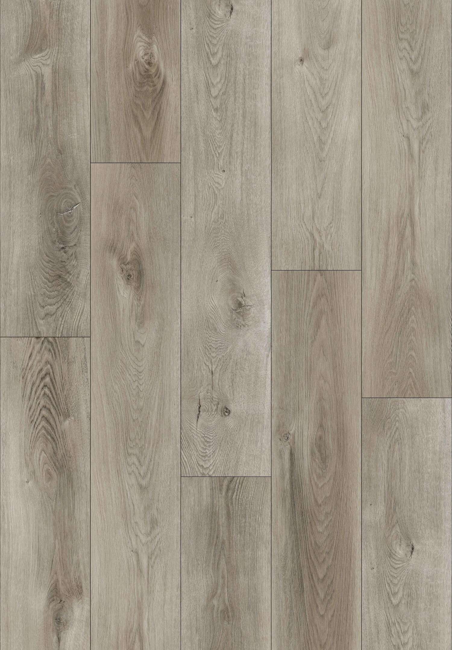 PELICAN GRAY 31.AM.40.0087.23