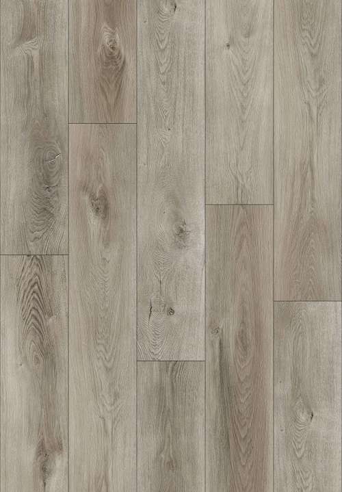 PELICAN GRAY 31.AM.40.0087.23