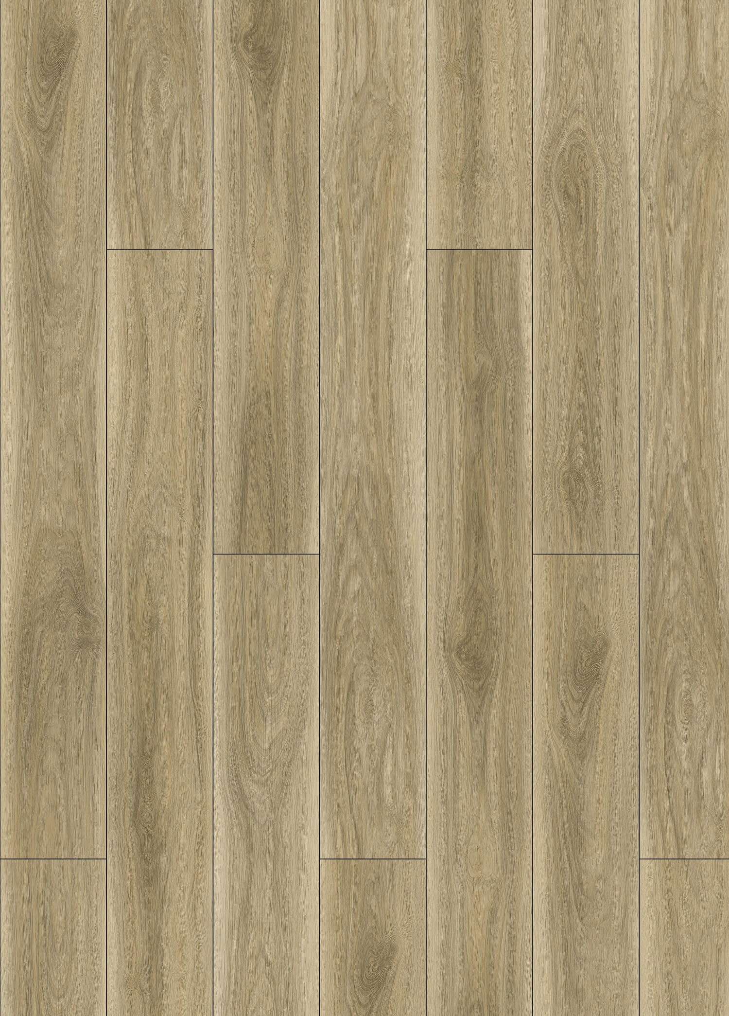 PINCHOT OAK 31.AM.60.0010.30