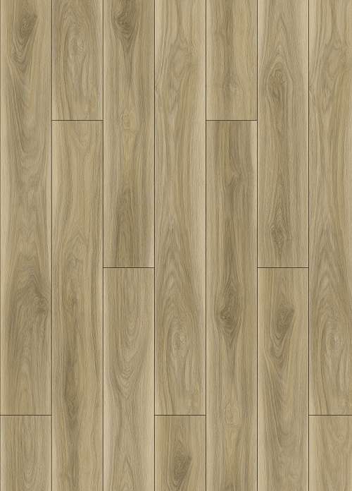 PINCHOT OAK 31.AM.60.0010.30