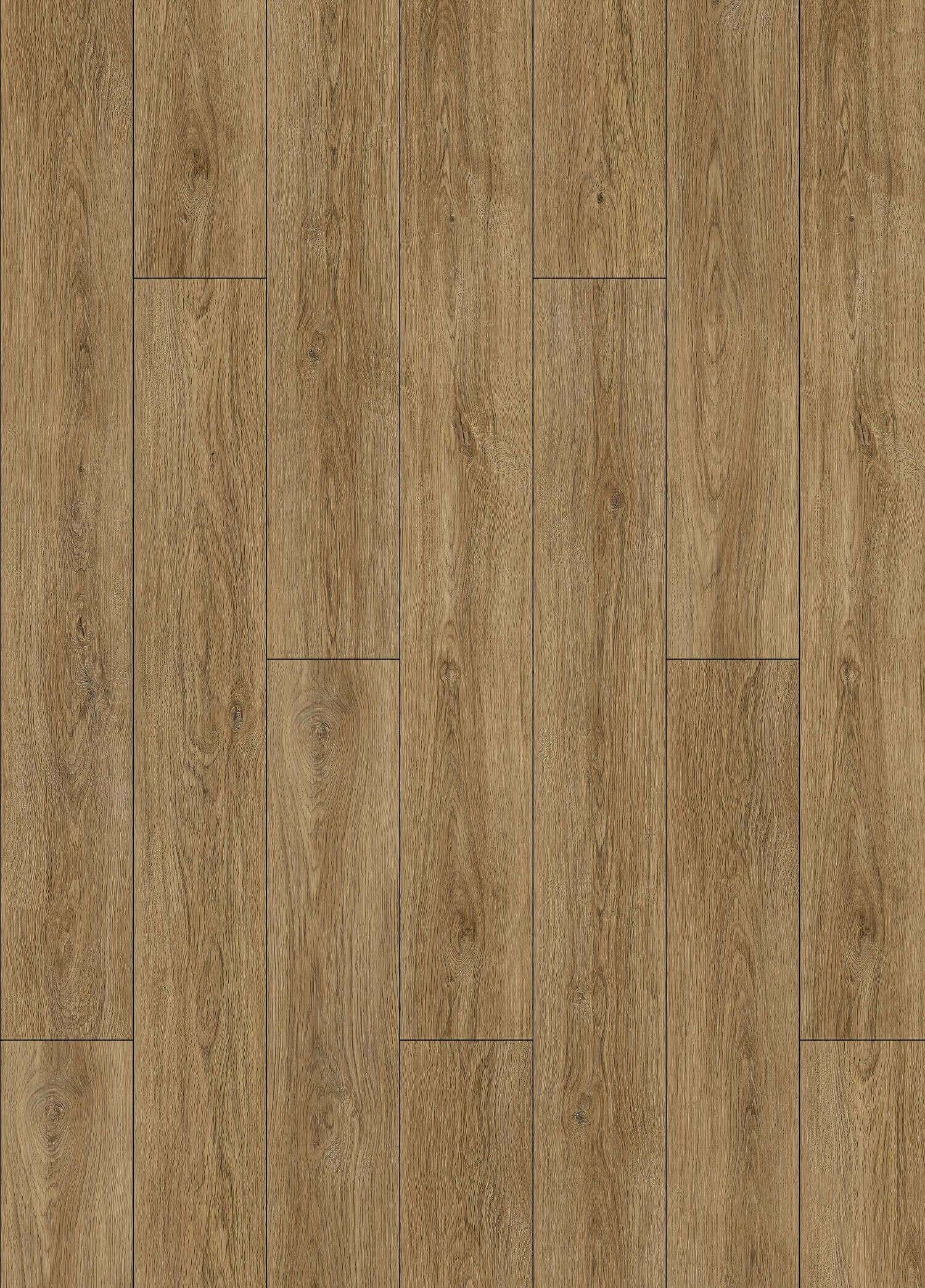 PULLMAN OAK - 31.AM.50.0062.23