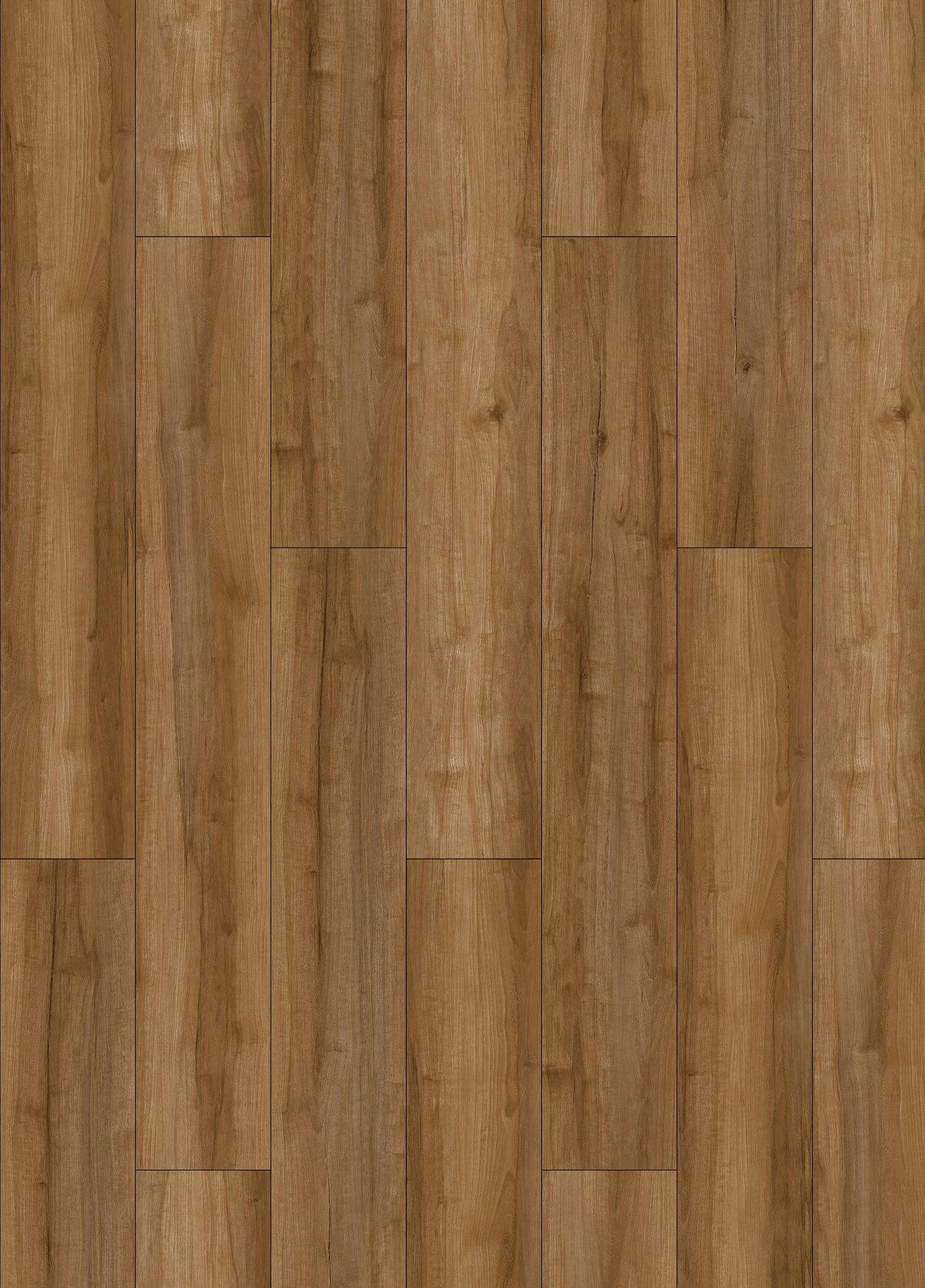 TROY SANDEL - 31.AM.50.0061.22