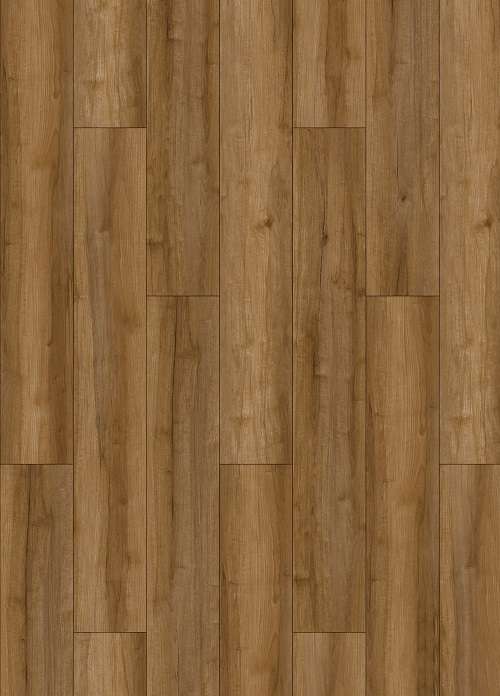 TROY SANDEL - 31.AM.60.0061.23