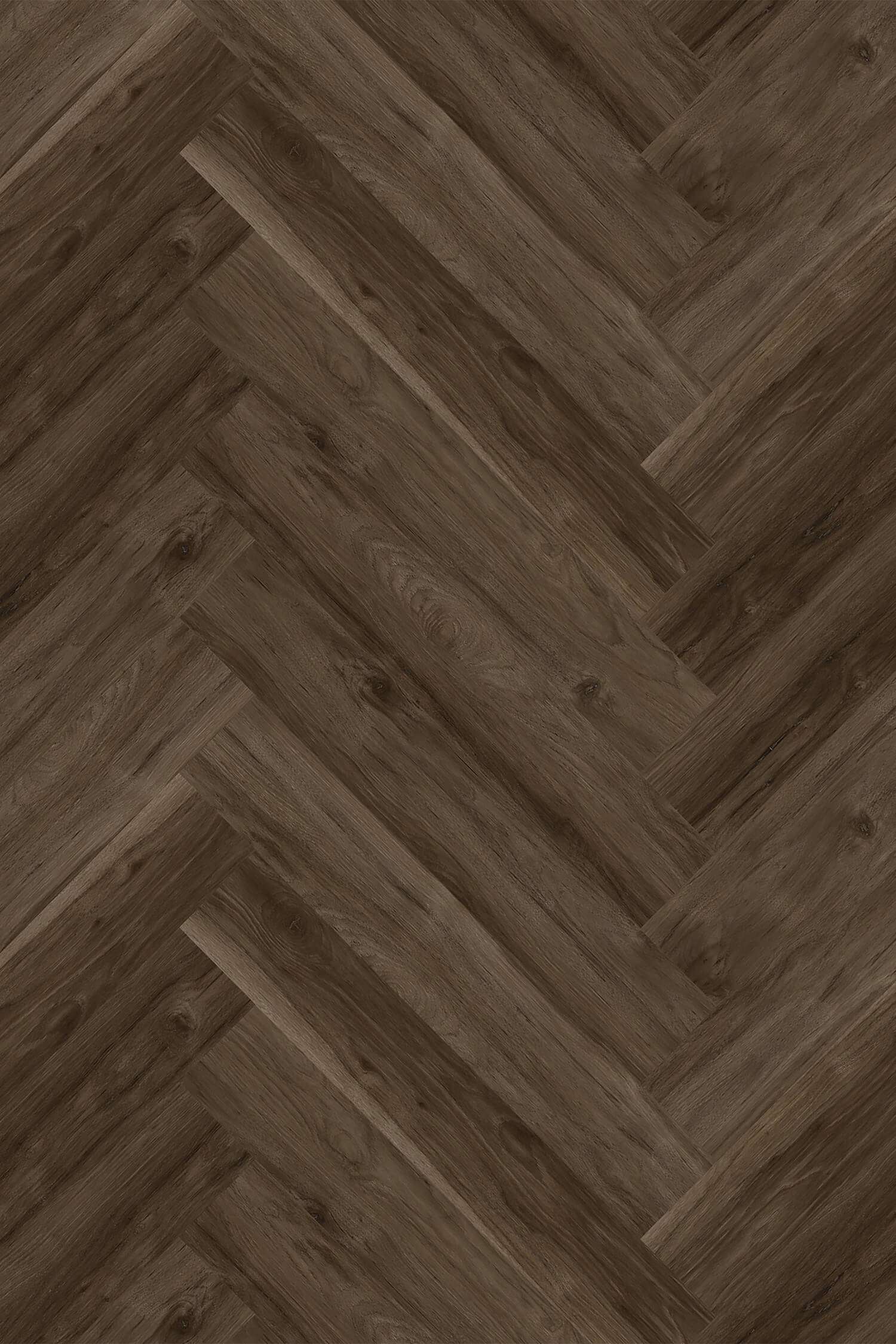 DEARY HICKORY 31.AM.50.0011.36-37 DEARY HICKORY 31.AM.50.0011.36-37