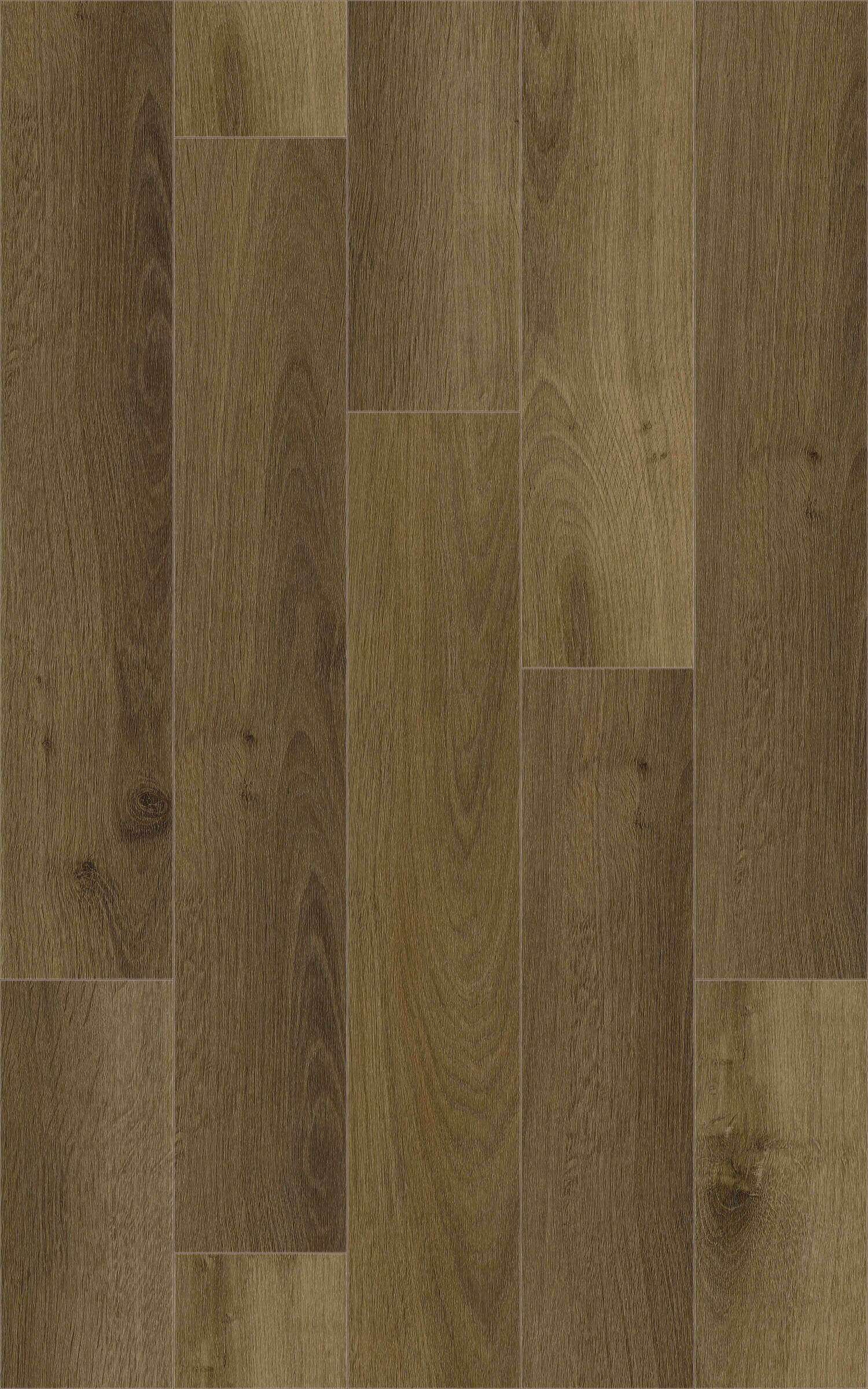 EARTHEN 31.TM.50.0130.06