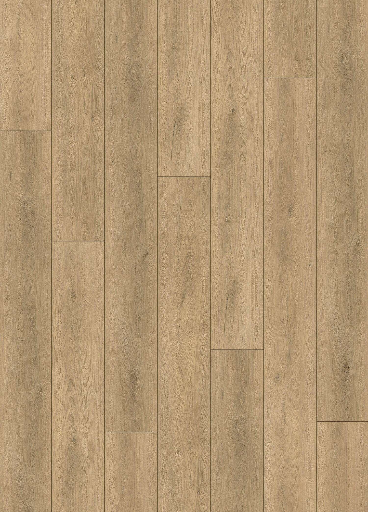 WAIPA OAK - 31.TM.50.0575.07