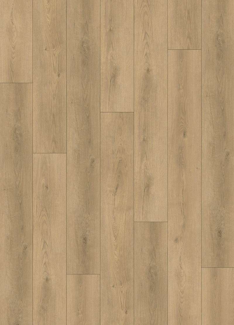 WAIPA OAK - 31.TM.50.0575.07
