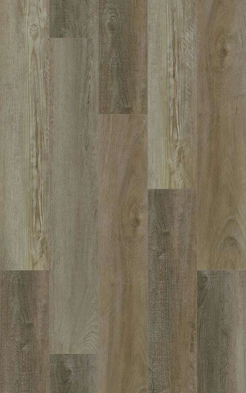 ASH - 31.TM.50.0356.09 ASH - 31.TM.50.0356.09