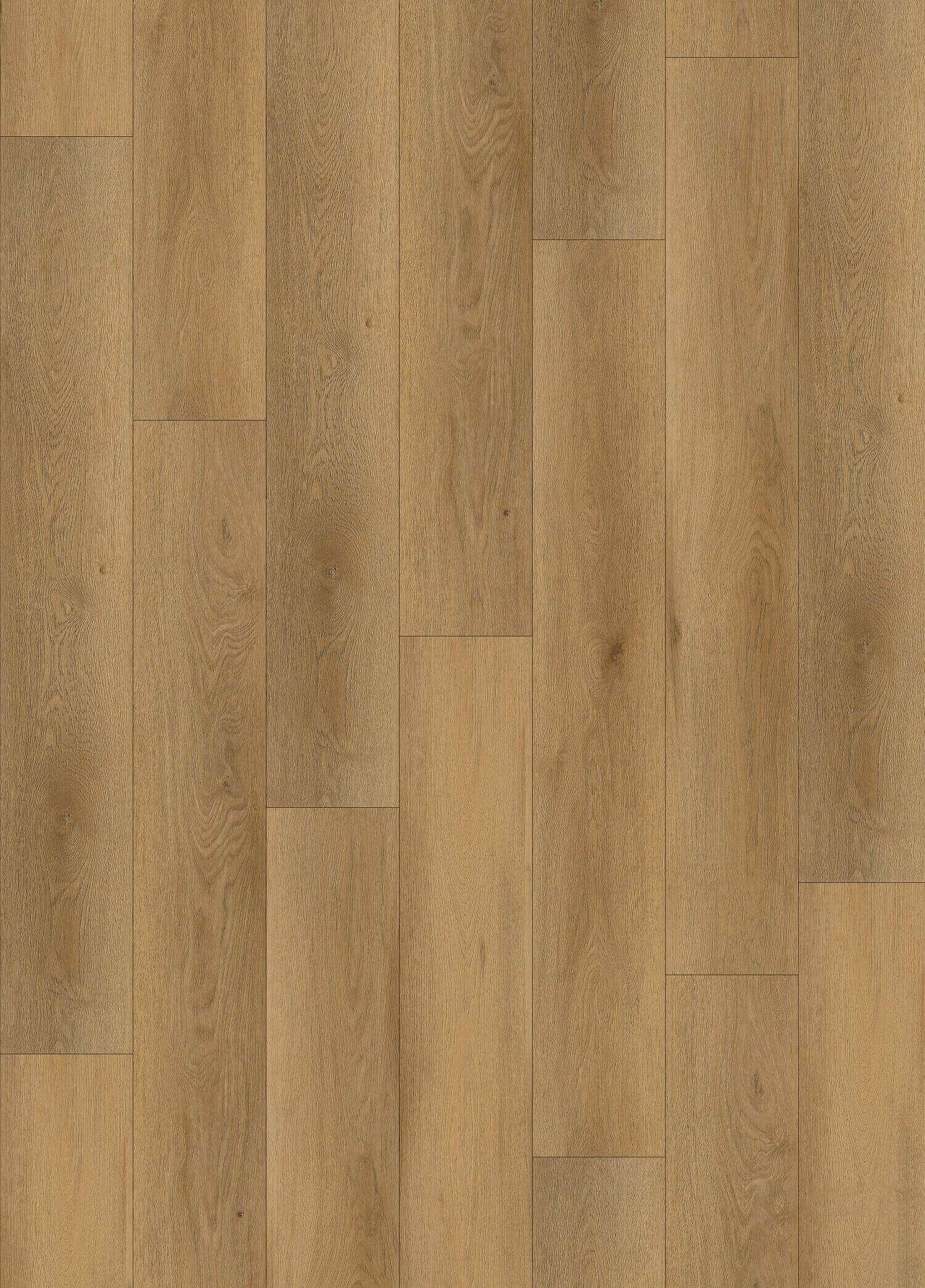 CLARY OAK 31.TM.60.0572.02 CLARY OAK 31.TM.60.0572.02