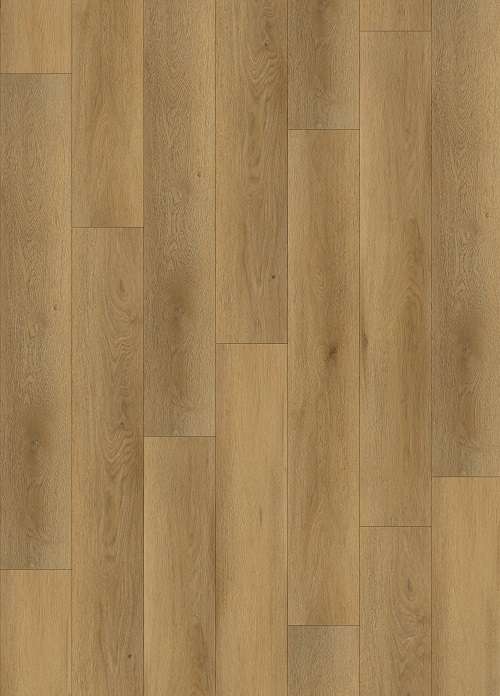 CLARY OAK 31.TM.60.0572.02