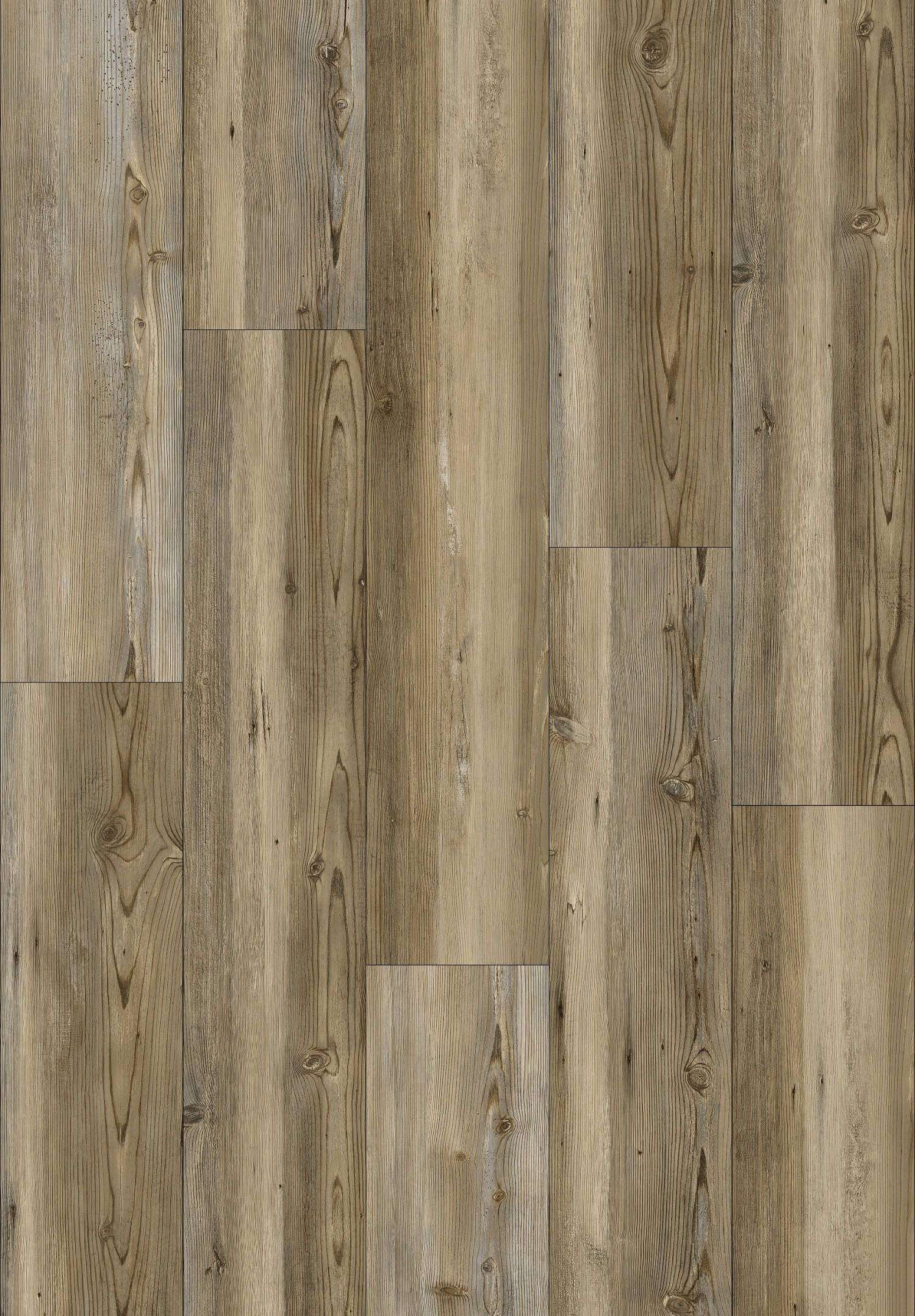 HICKMAN COAST - 31.TM.50.0536.03